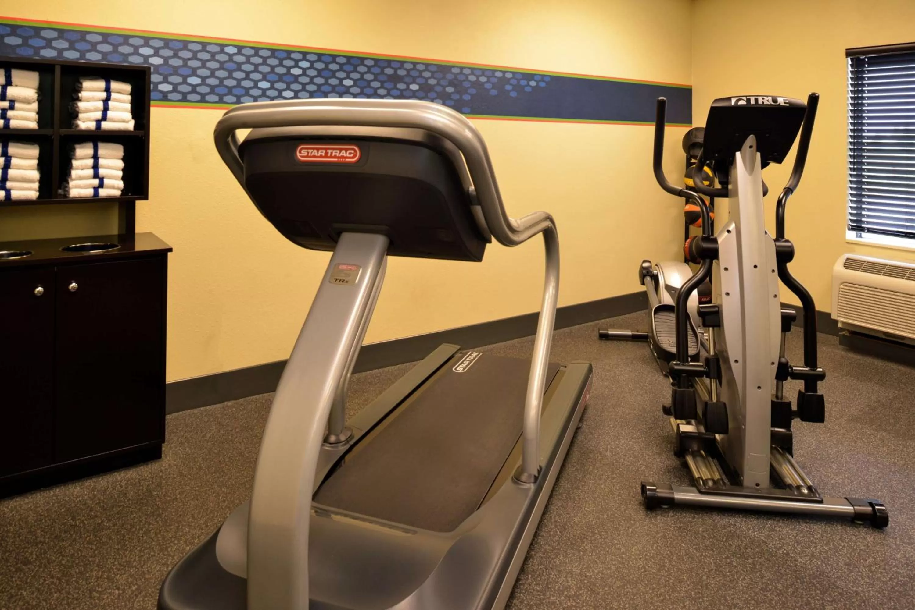 Fitness centre/facilities in Hampton Inn by Hilton Litchfield