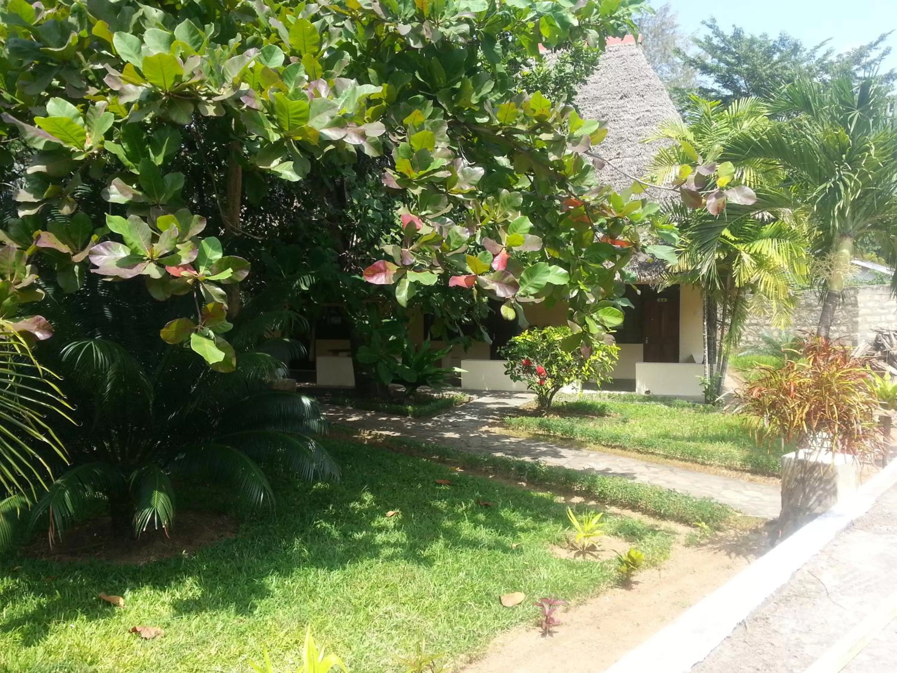 Garden in Makuti Villas Resort