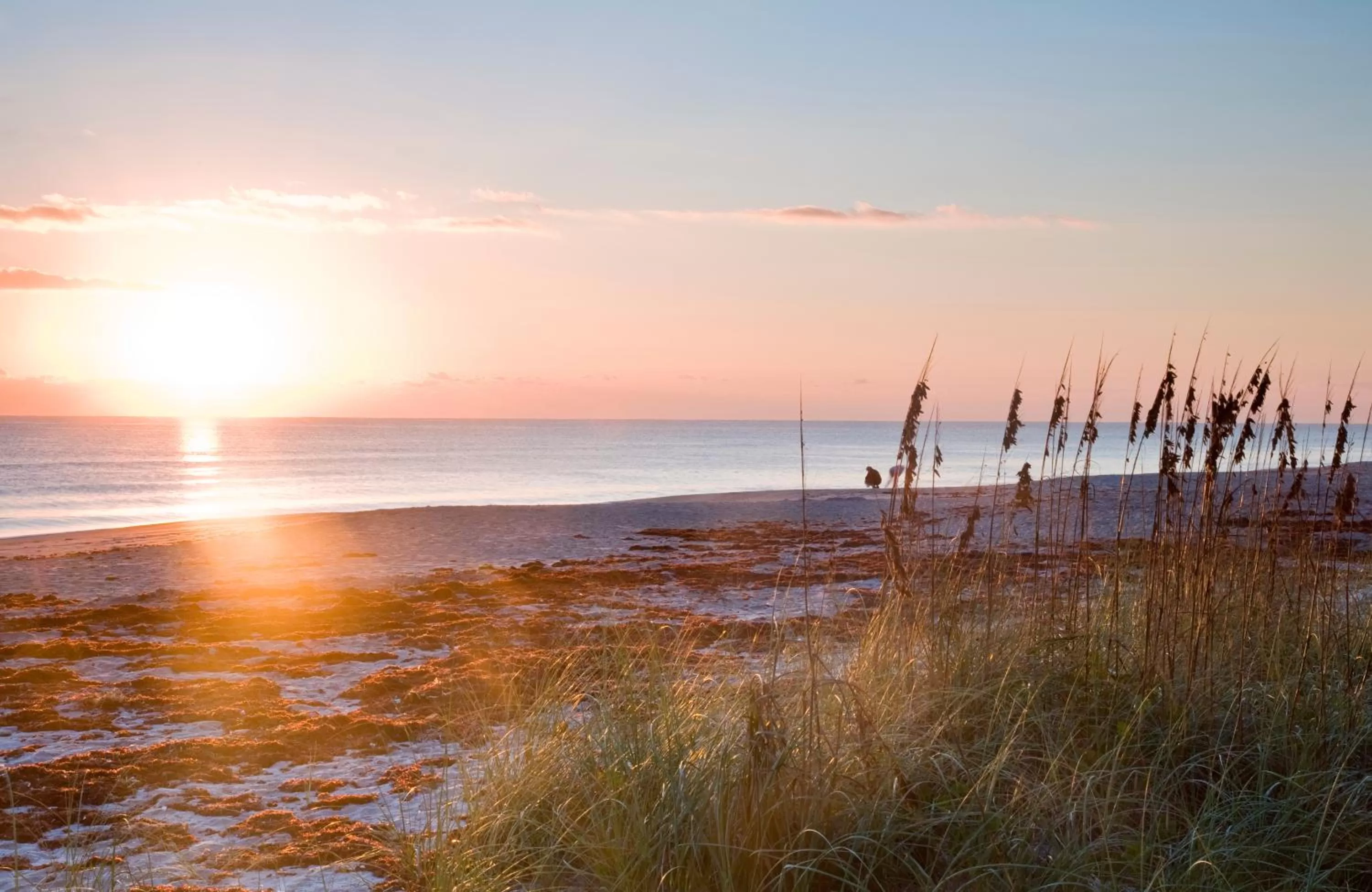 Natural landscape in Port d'Hiver Bed and Breakfast