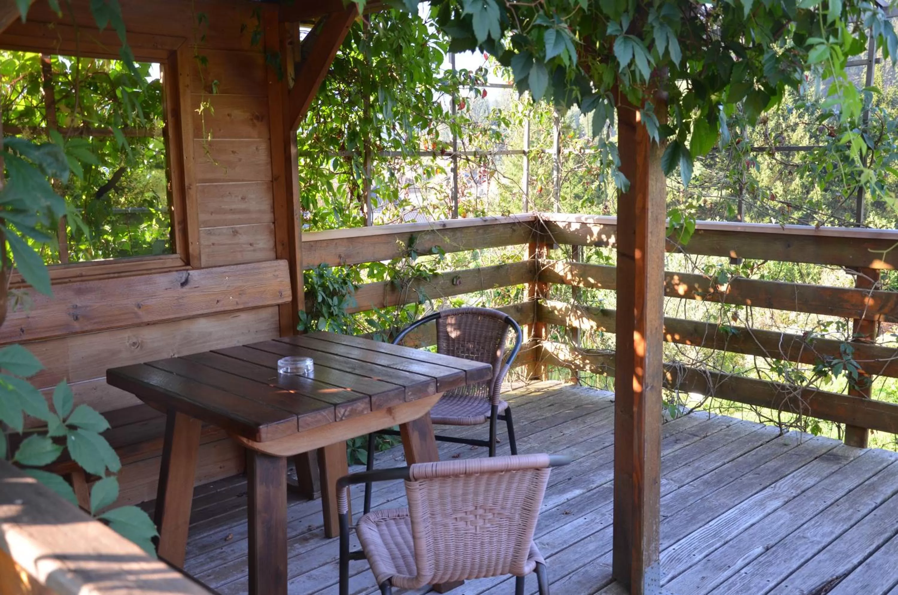 Garden in Pension zum Schreiner