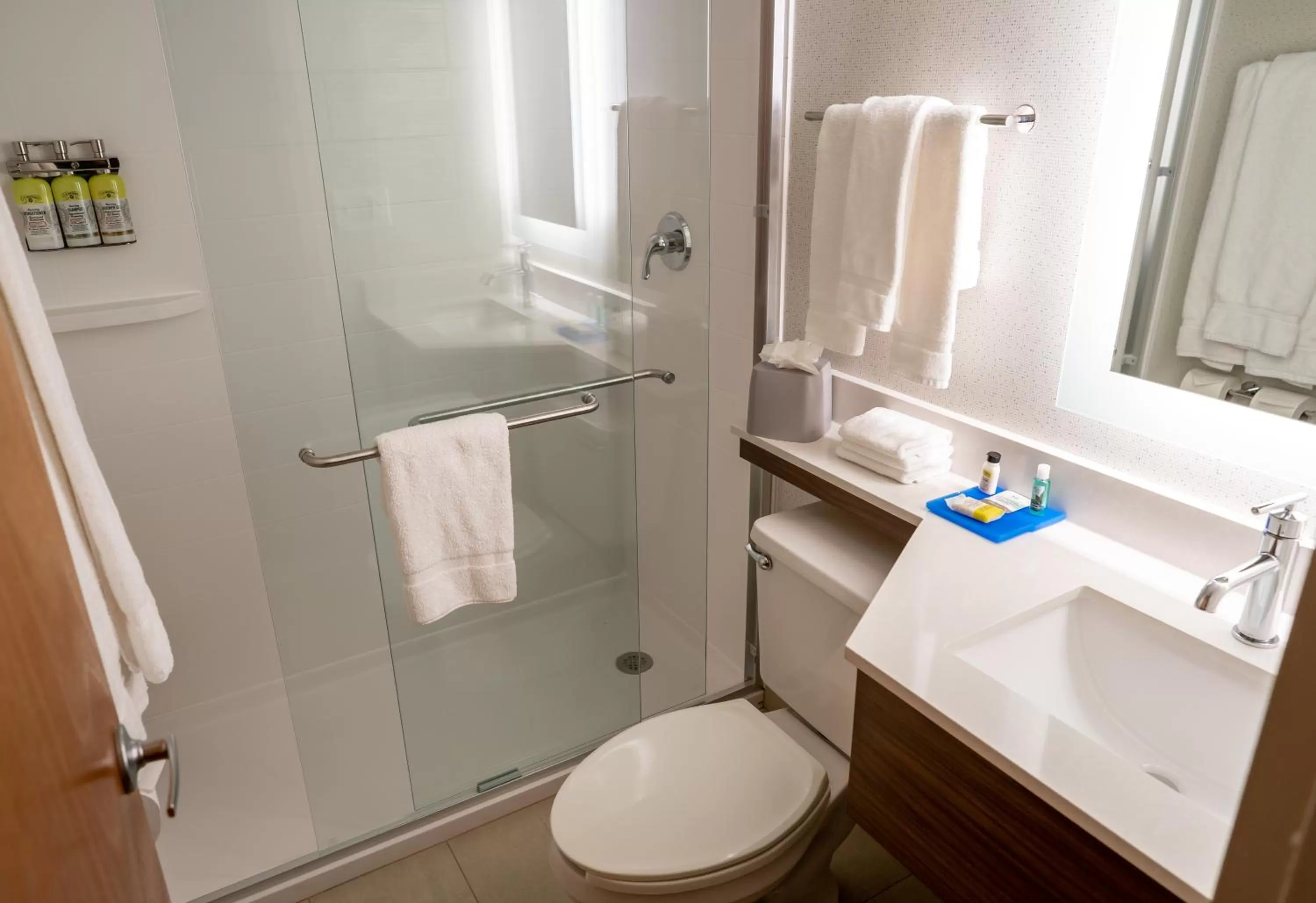 Bathroom in Holiday Inn Express Boston by IHG