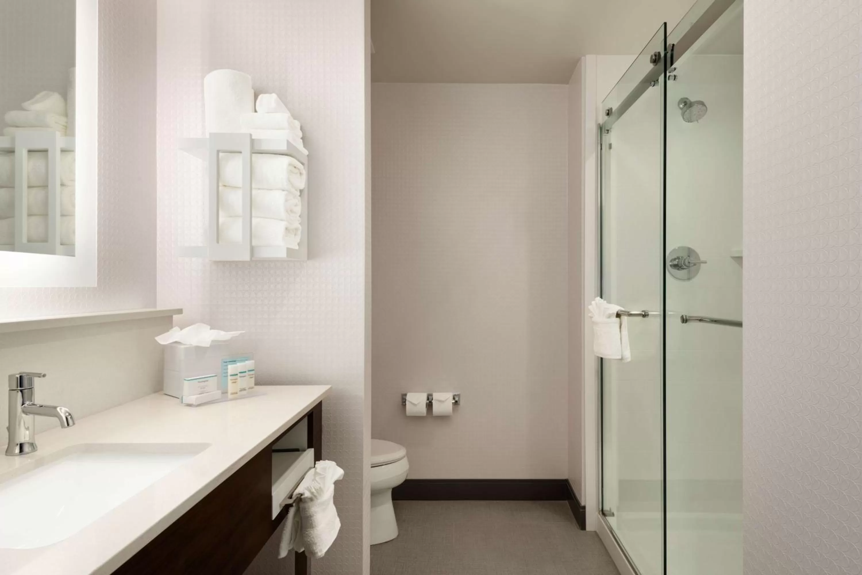 Bathroom in Hampton Inn & Suites Norman-Conference Center Area, Ok