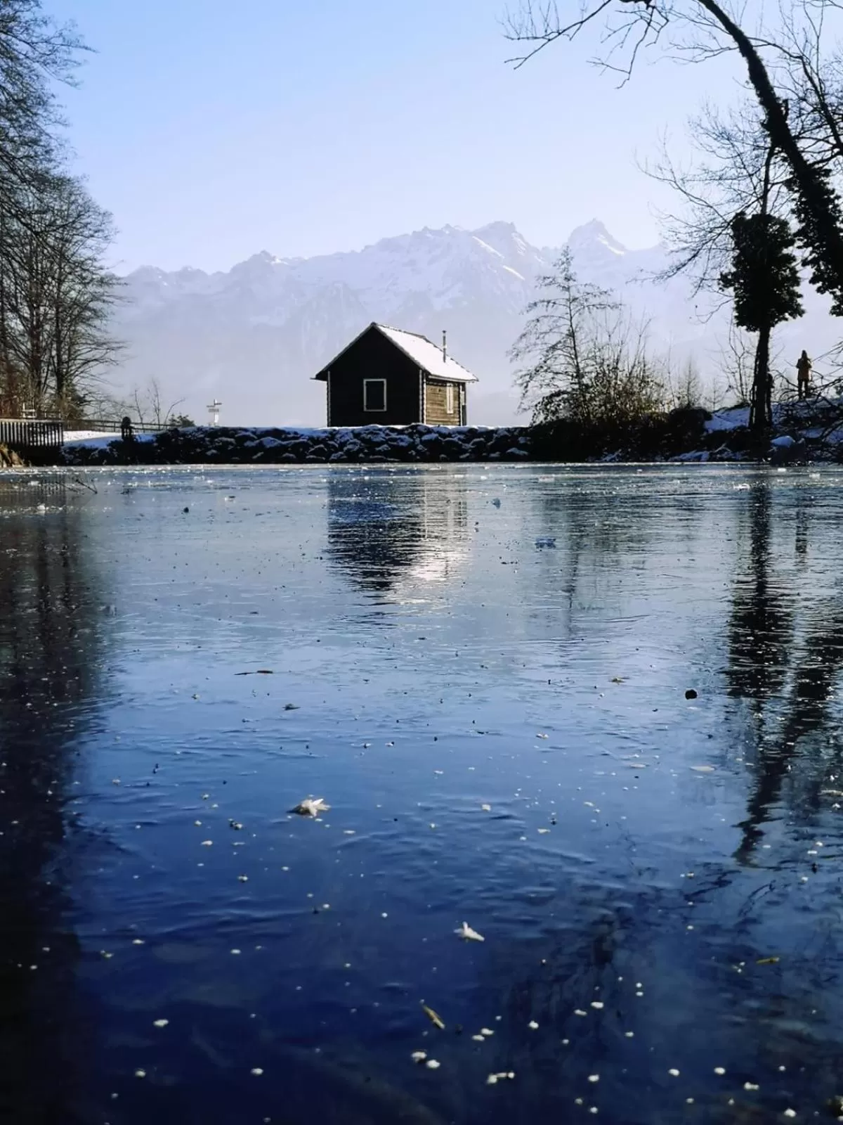 Natural landscape in Relax & Vitalhotel Adler