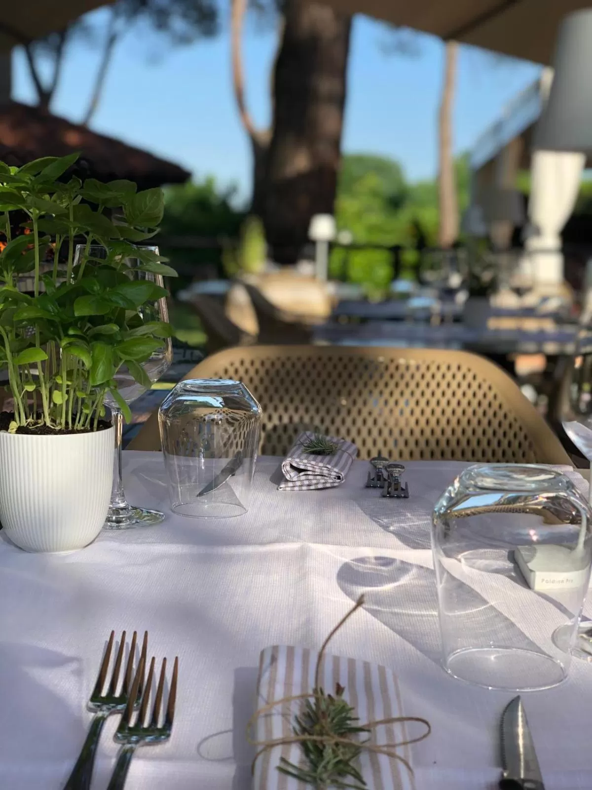 Restaurant/places to eat in GREEN GARDEN Resort - Smart Hotel