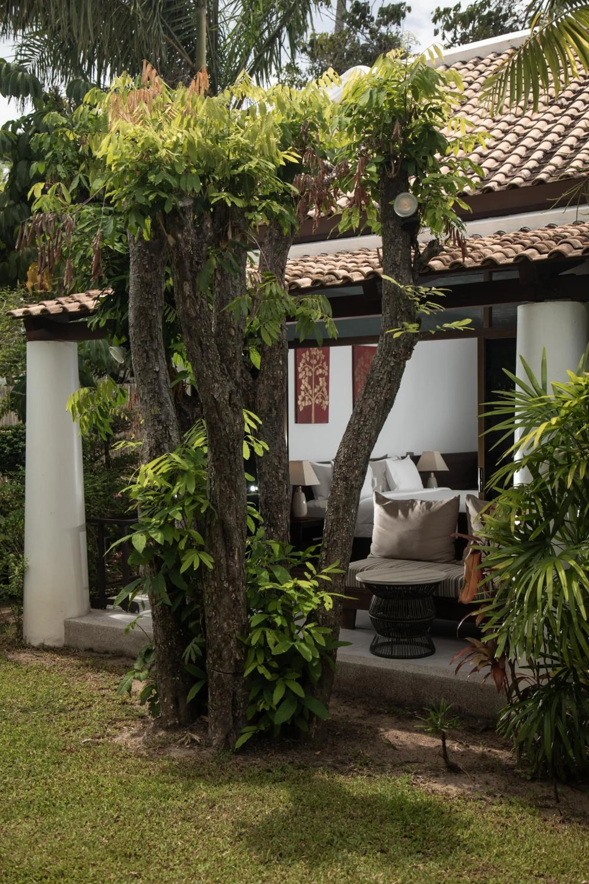 Garden view in Celes Samui