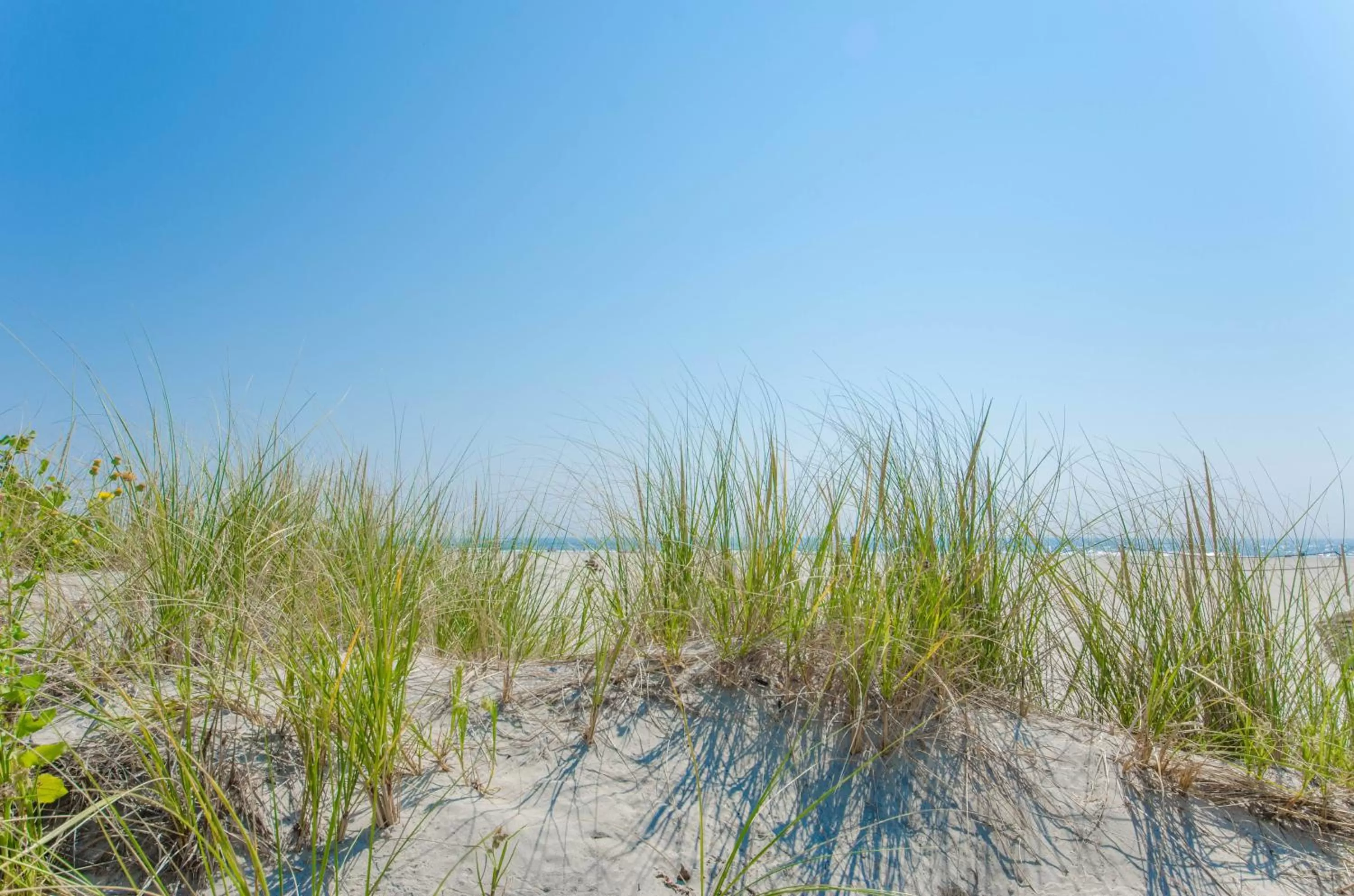 Natural landscape in ICONA Diamond Beach