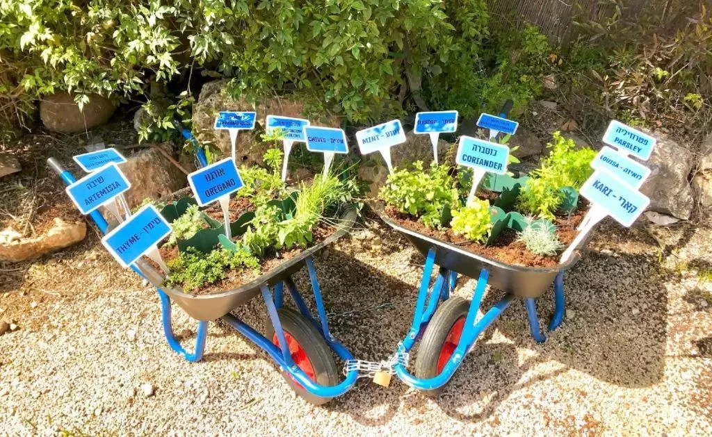 Garden in Magical in the Galilee