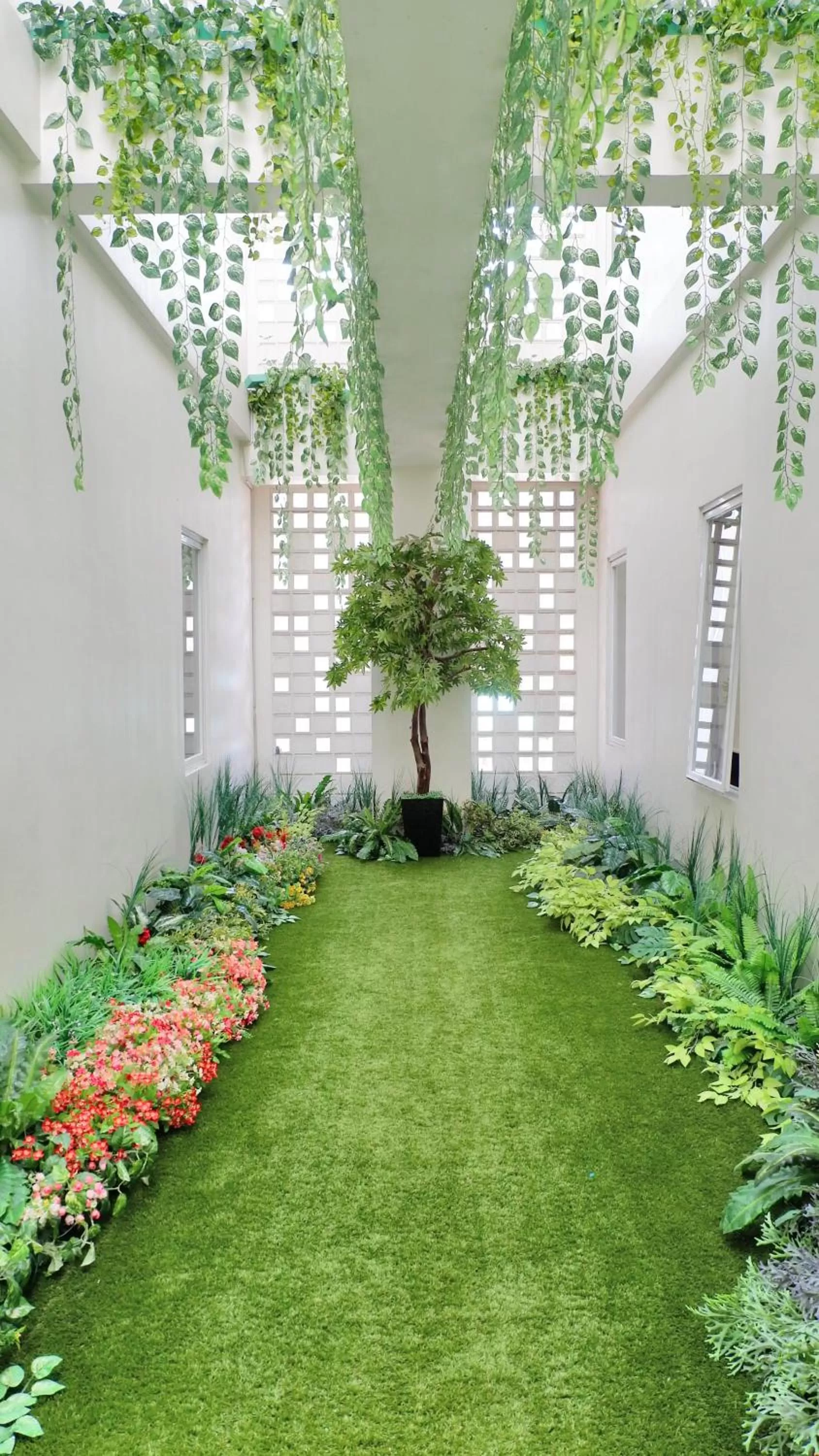 Garden view in MaxOne Signature Glodok Jakarta