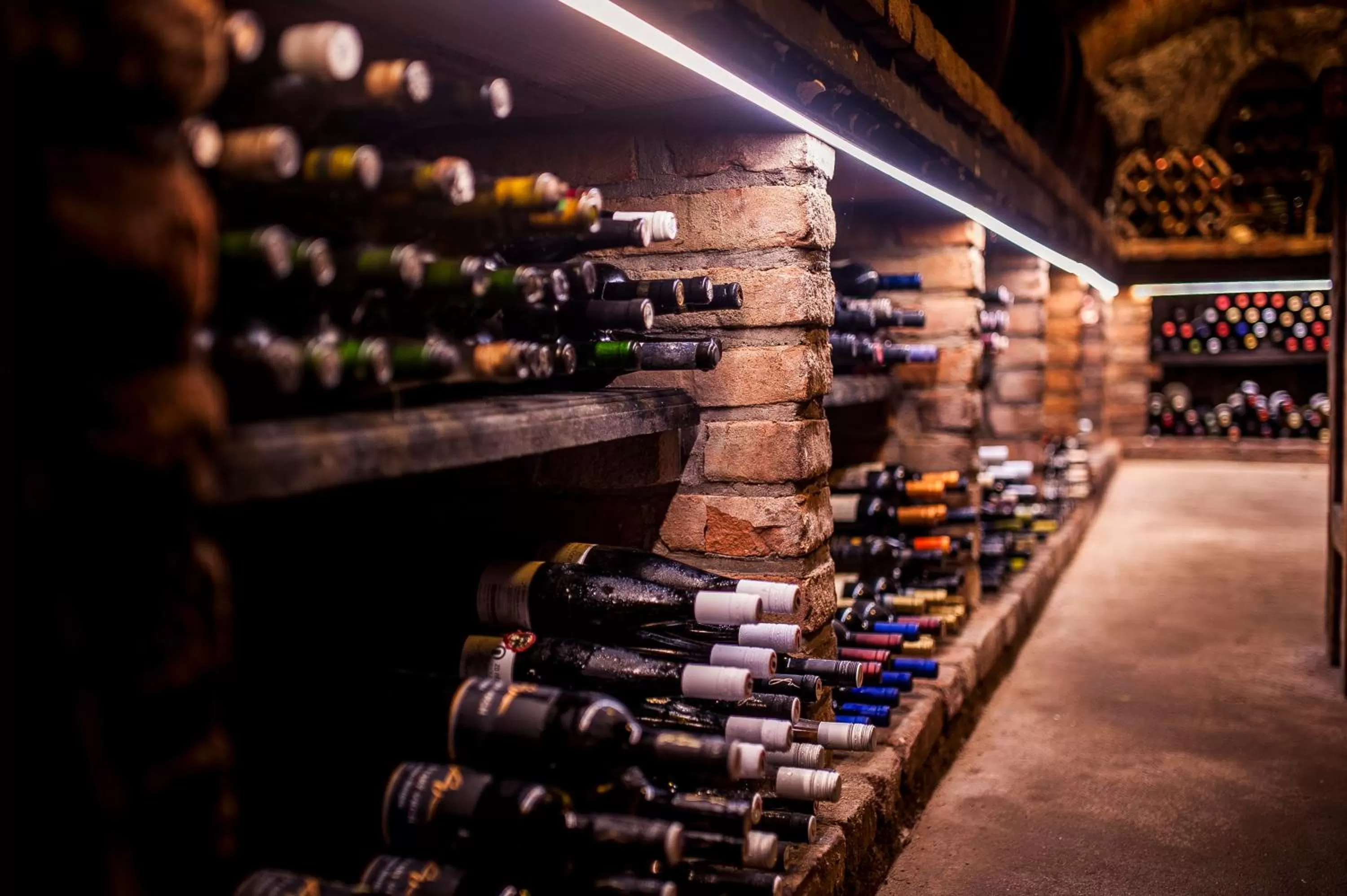 Entertainment in Boutique Hotel Golf Garni