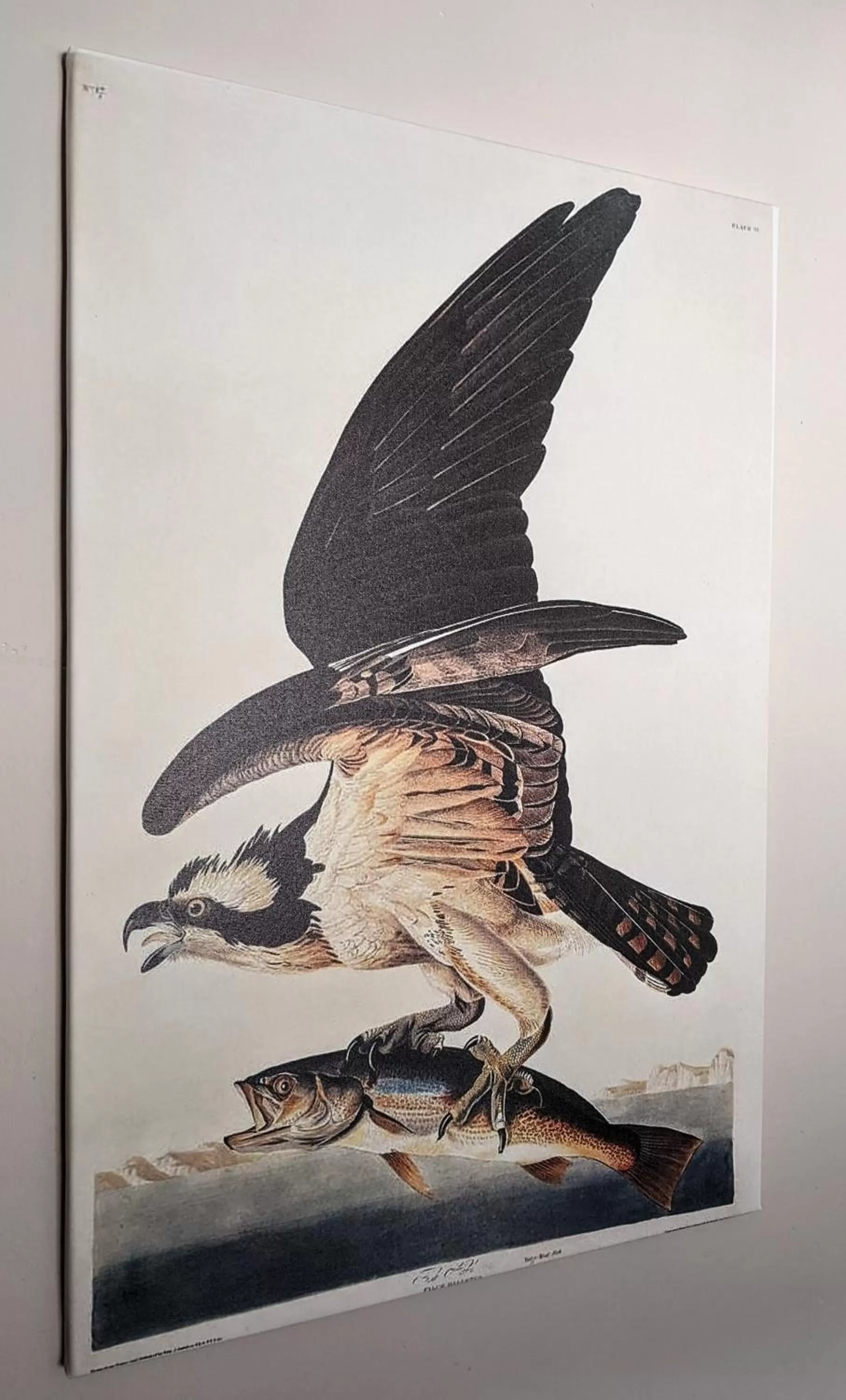 Budget Triple Room in The Boot Inn Rutland