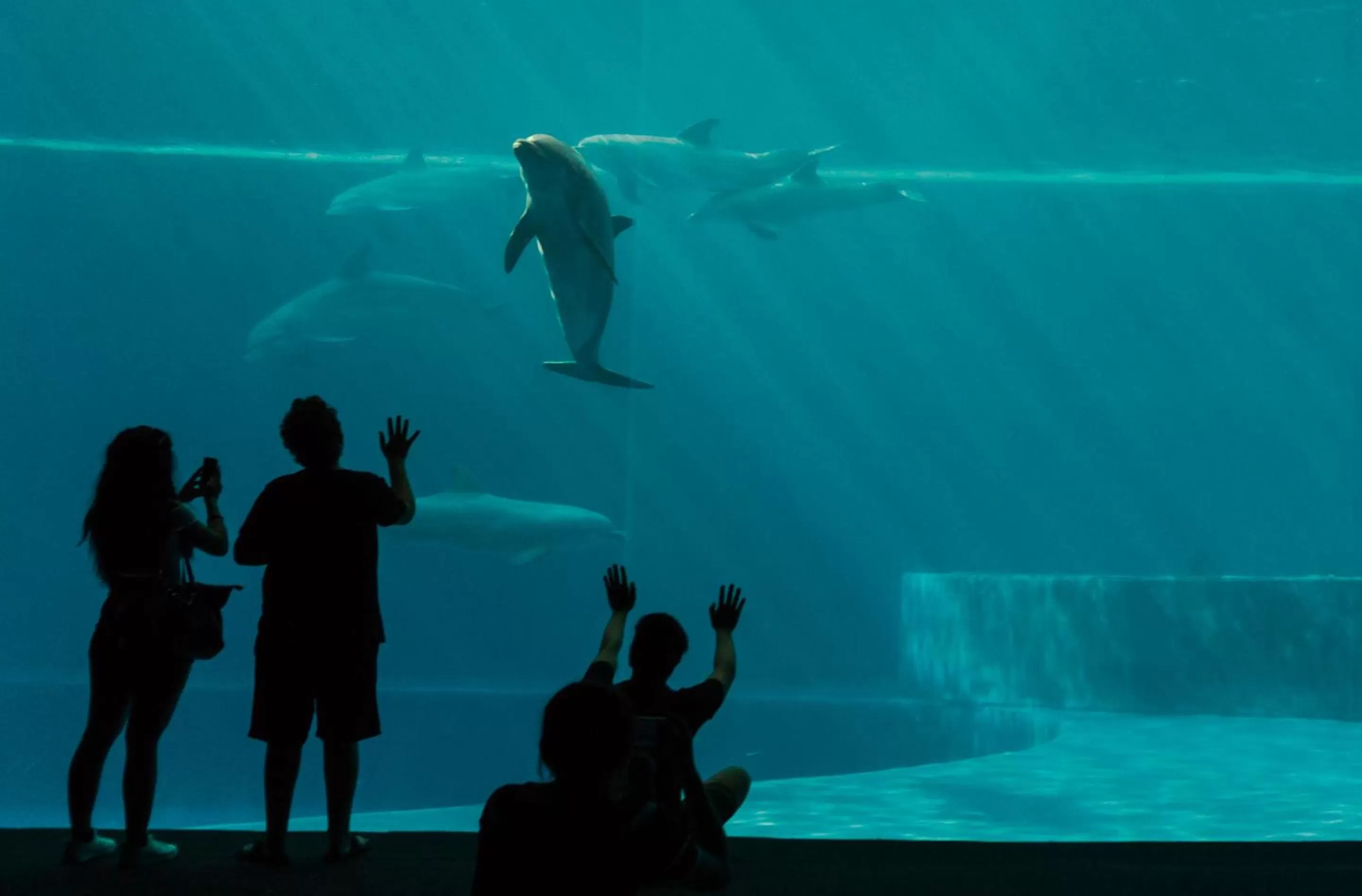 Nearby landmark in Hotel Astoria