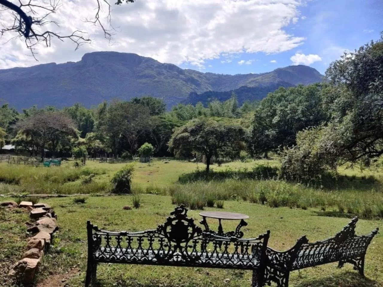 Natural landscape in Jungle Hut Resort