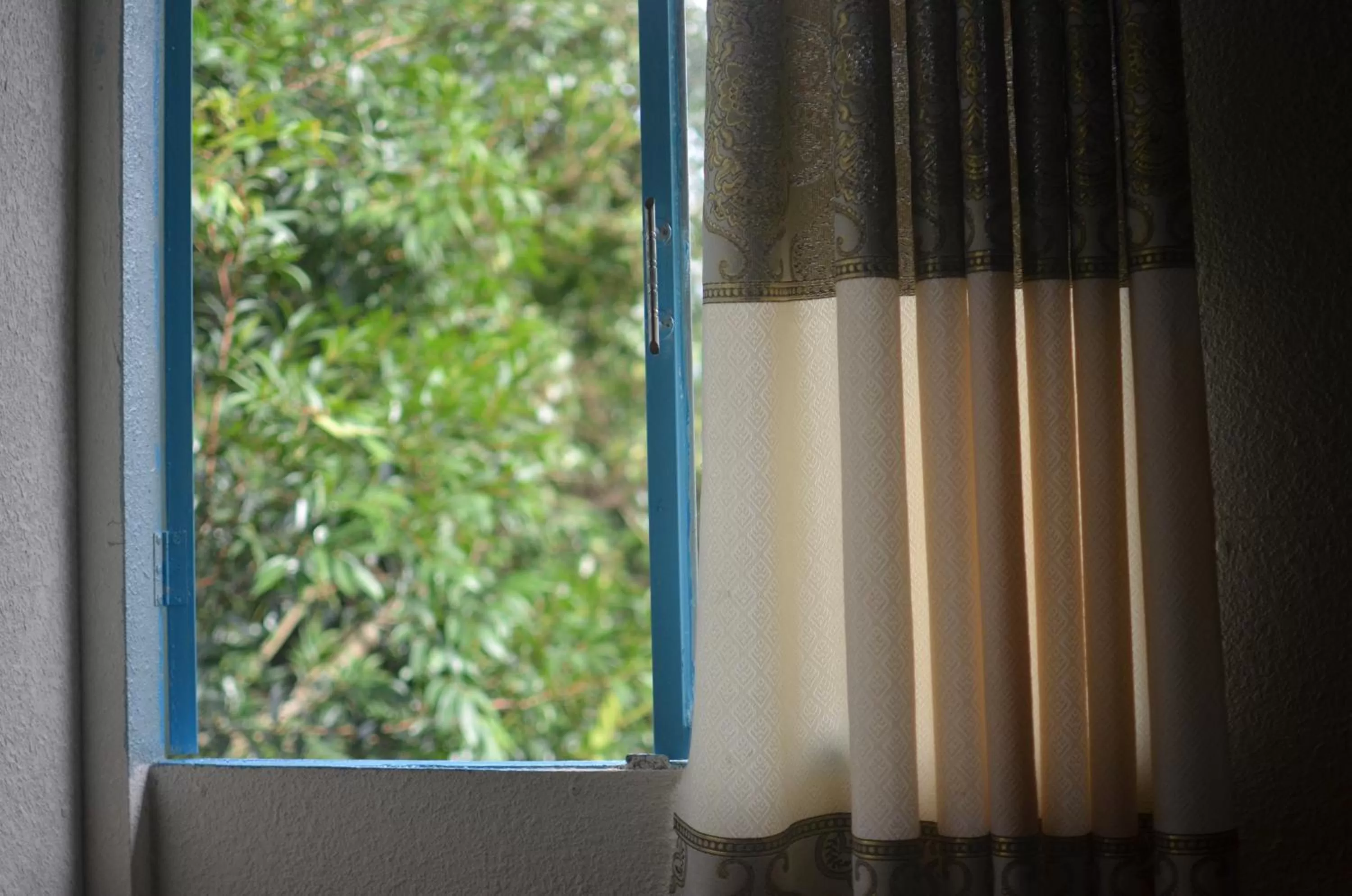 Garden view in The Lake House Dalat