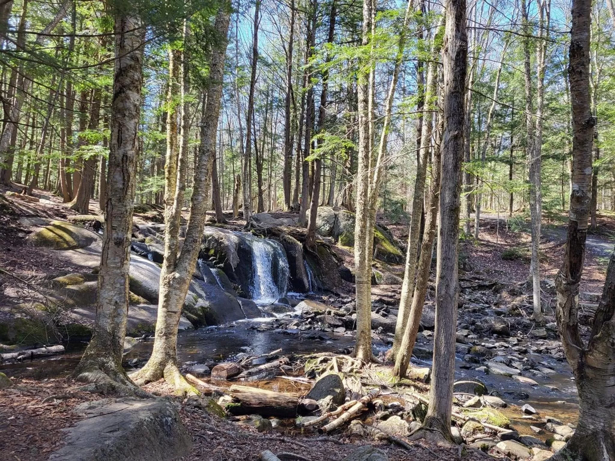 Natural landscape in Au Gré Du Temps - Gîte B&B