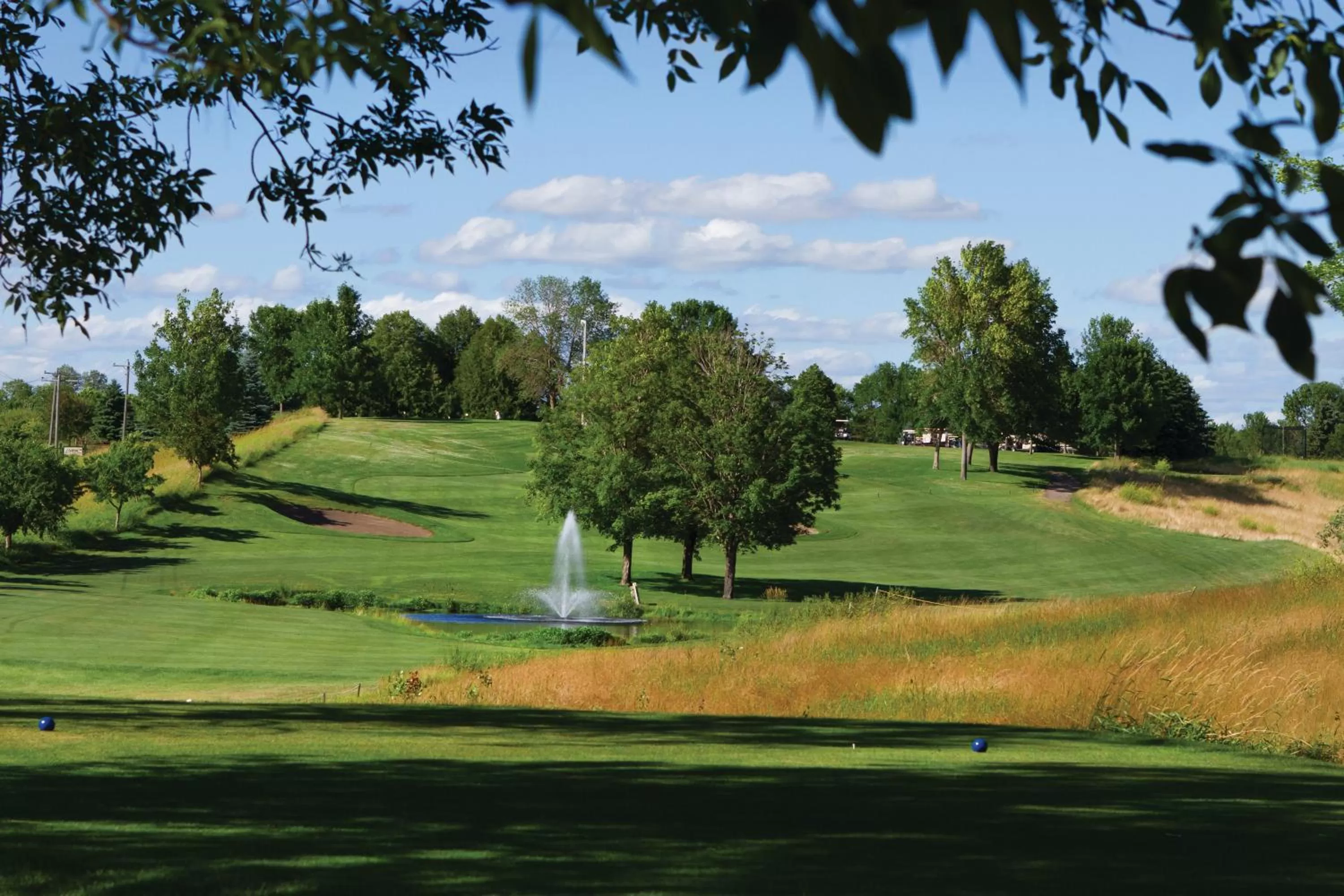 Golfcourse in Arrowwood Resort Hotel and Conference Center - Alexandria