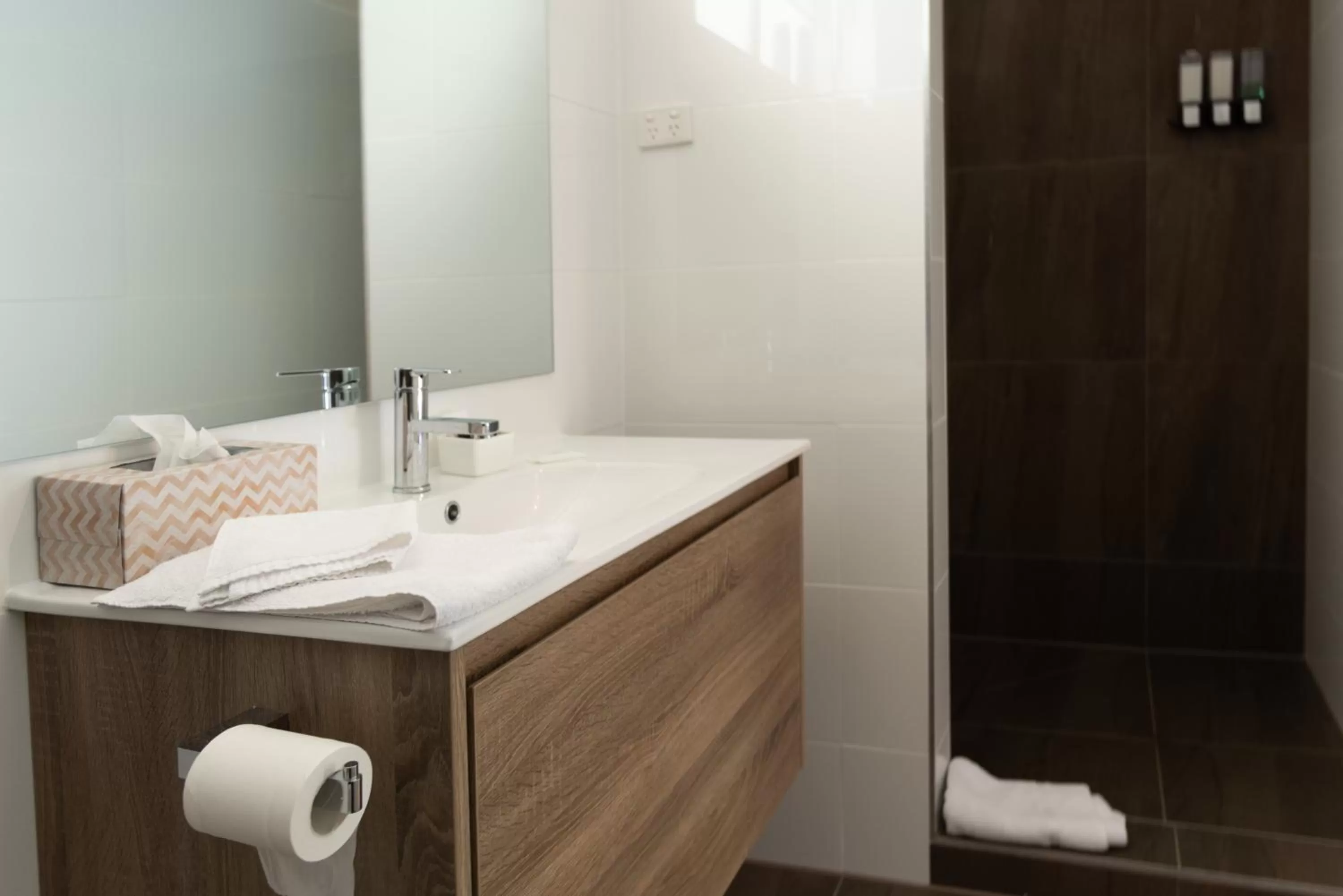 Bathroom in Black Forest Motel