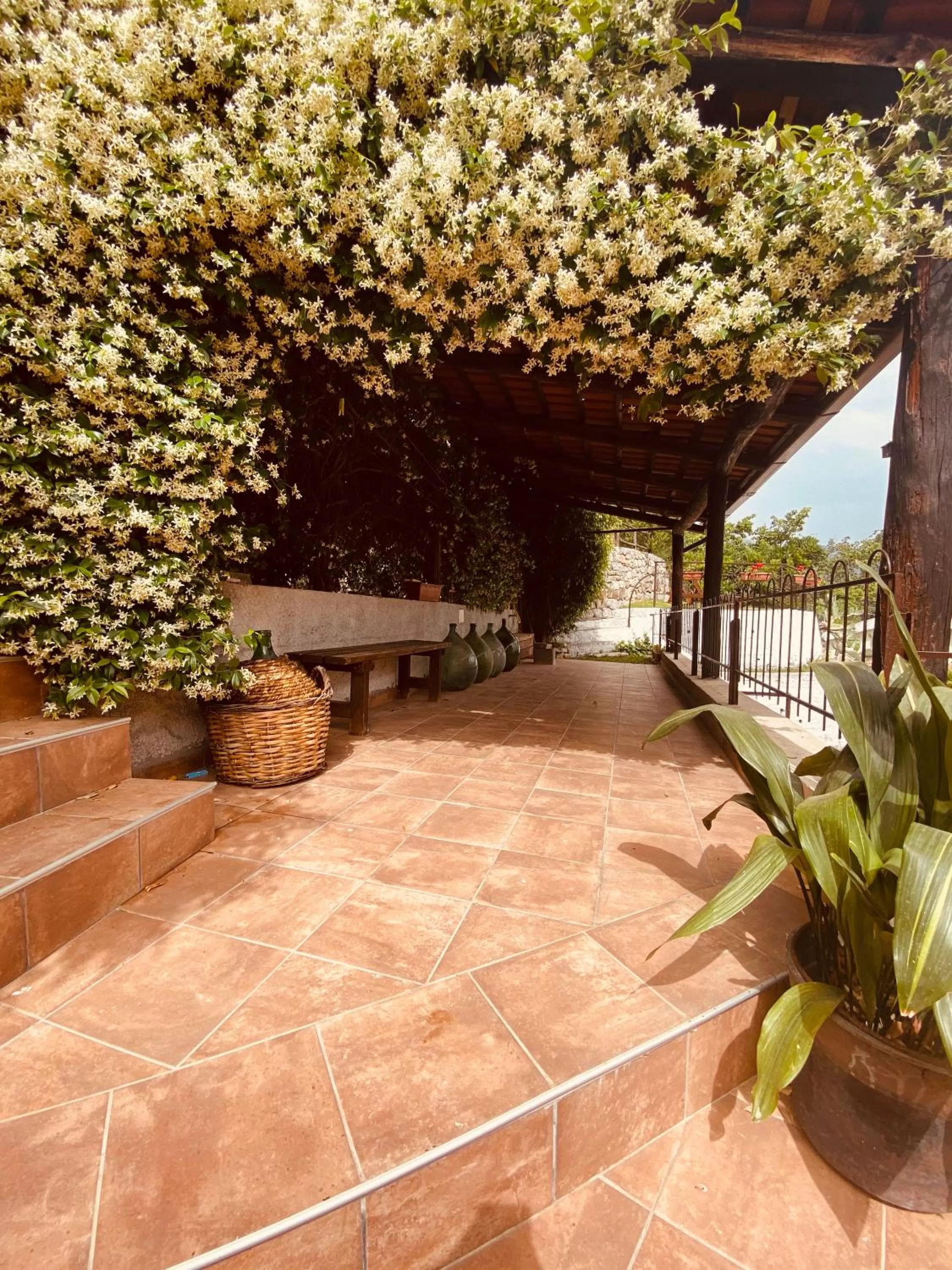 Garden in Bed & Breakfast Spigolatrice