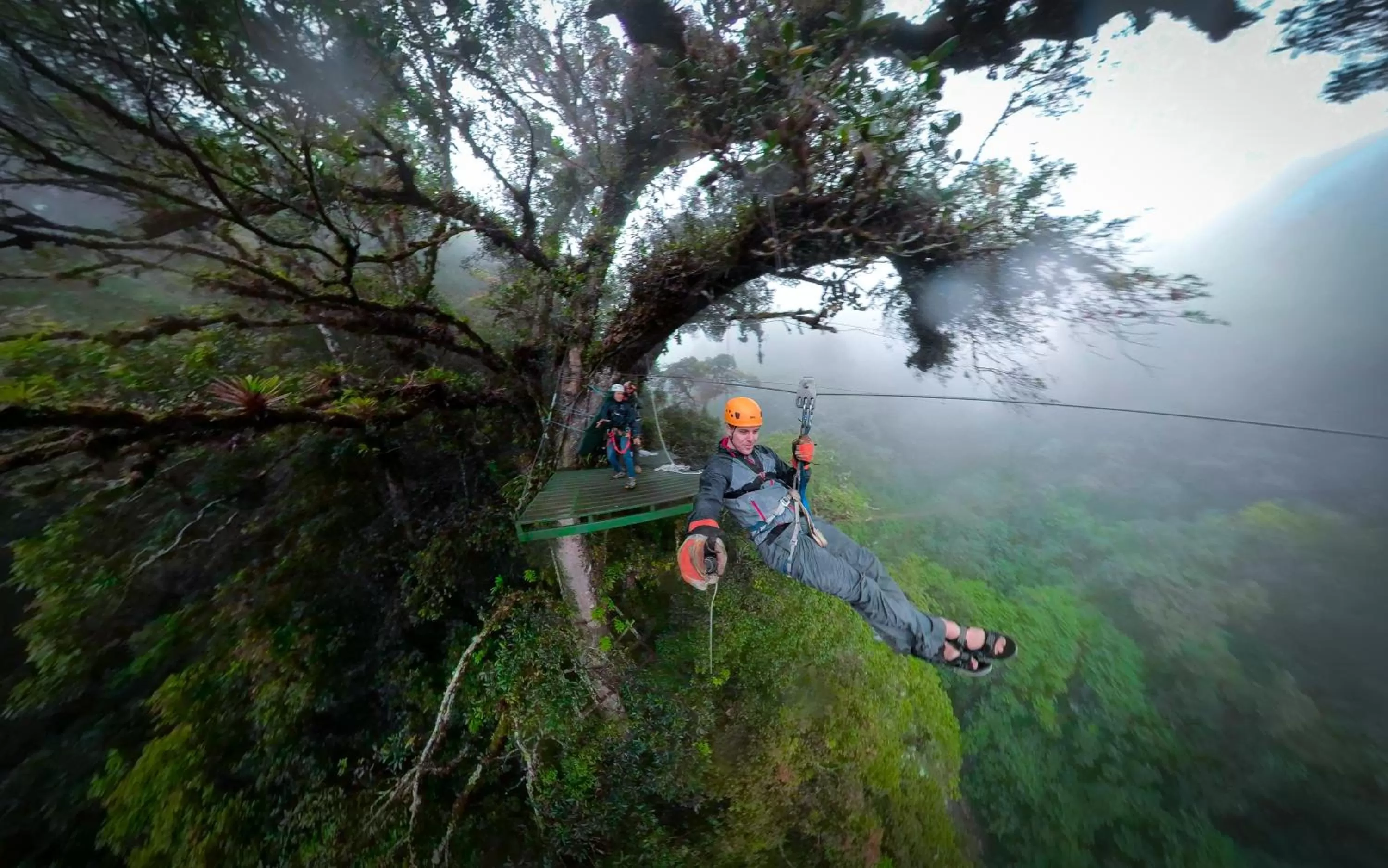 Activities in TREE TREK BOQUETE Adventure Park