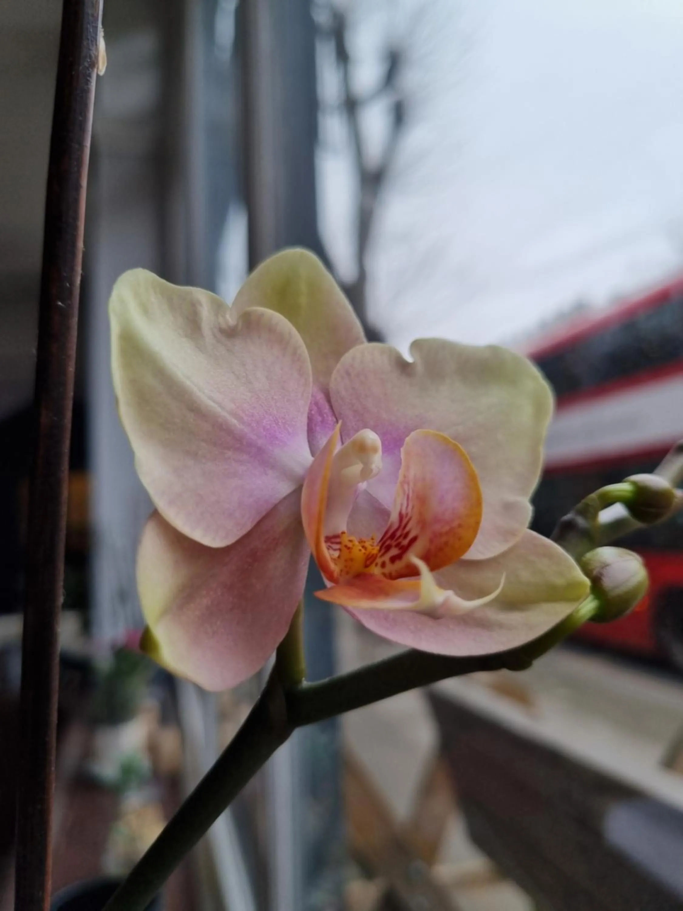 On site in The Windmill Hotel