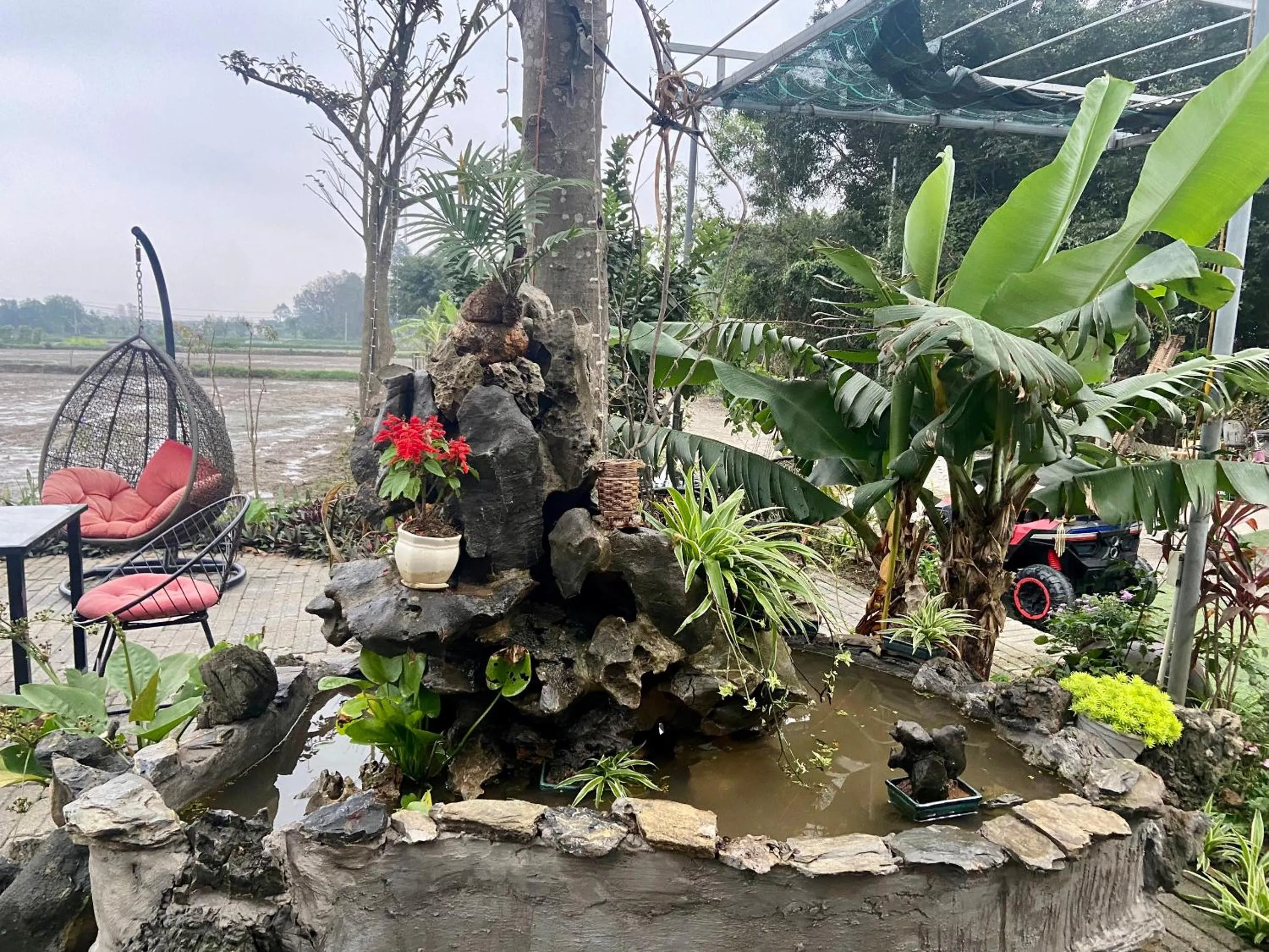 Tam Coc Mountain View Homestay