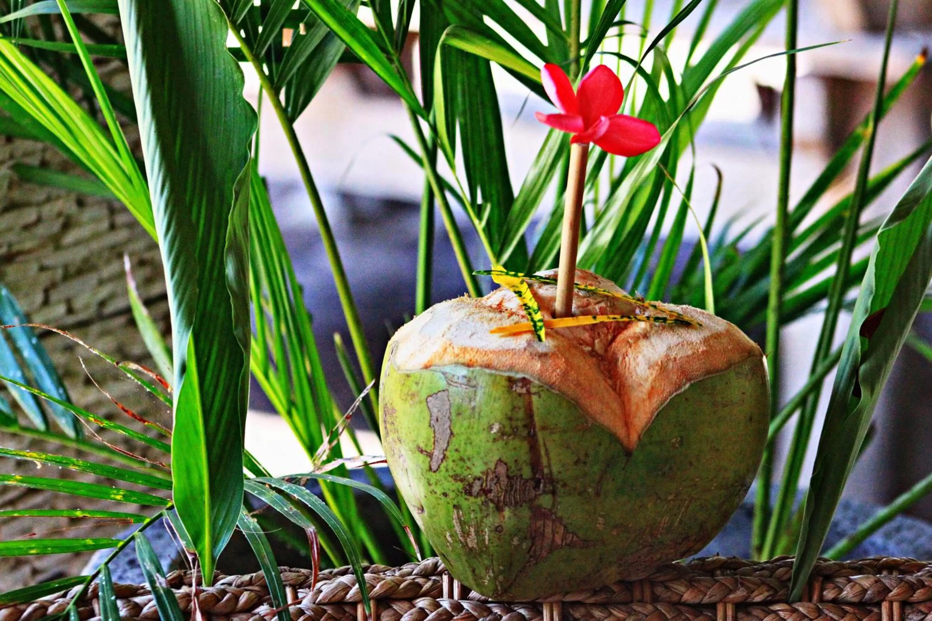 Non alcoholic drinks in Meno Dream Resort