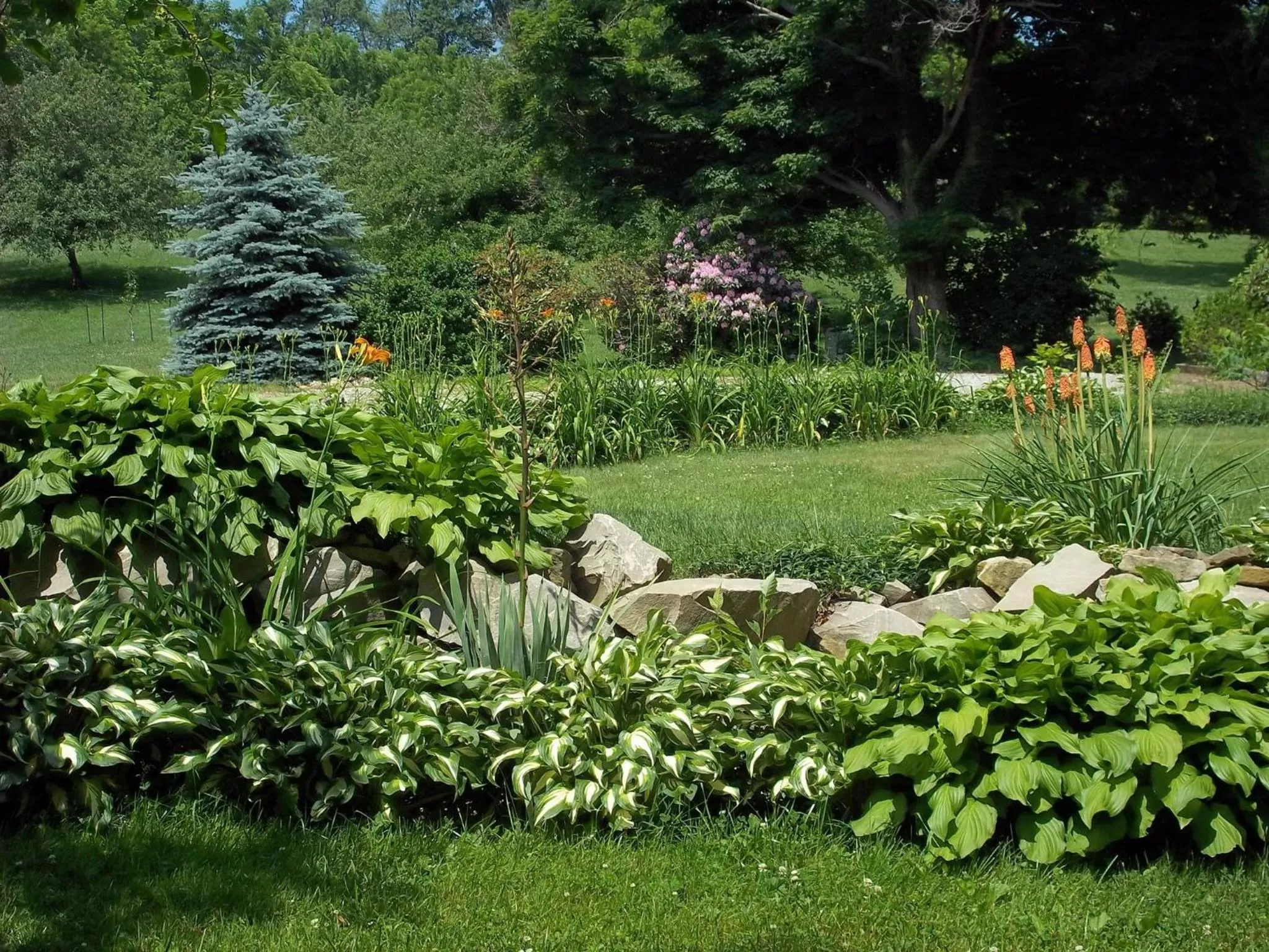 Natural landscape, Garden in Baneberry Meadows B&B