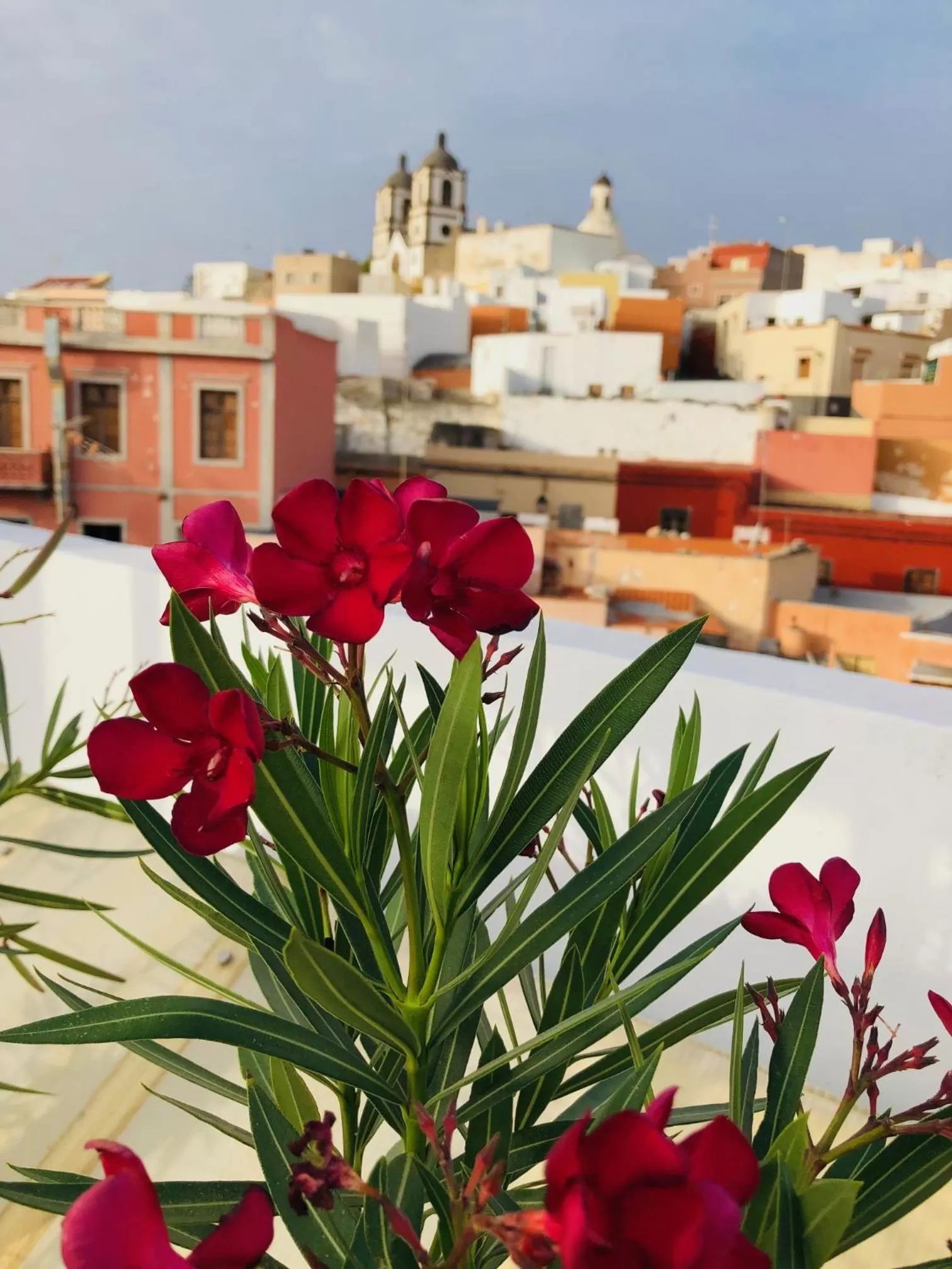 Neighbourhood in Villa Nestor