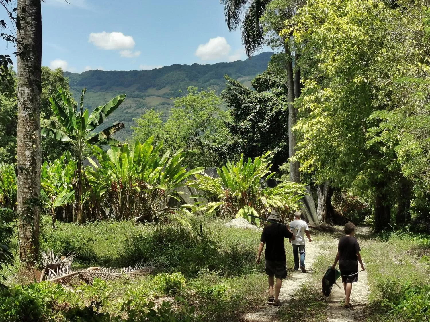Natural landscape in Casa Valeria Boutique Hotel