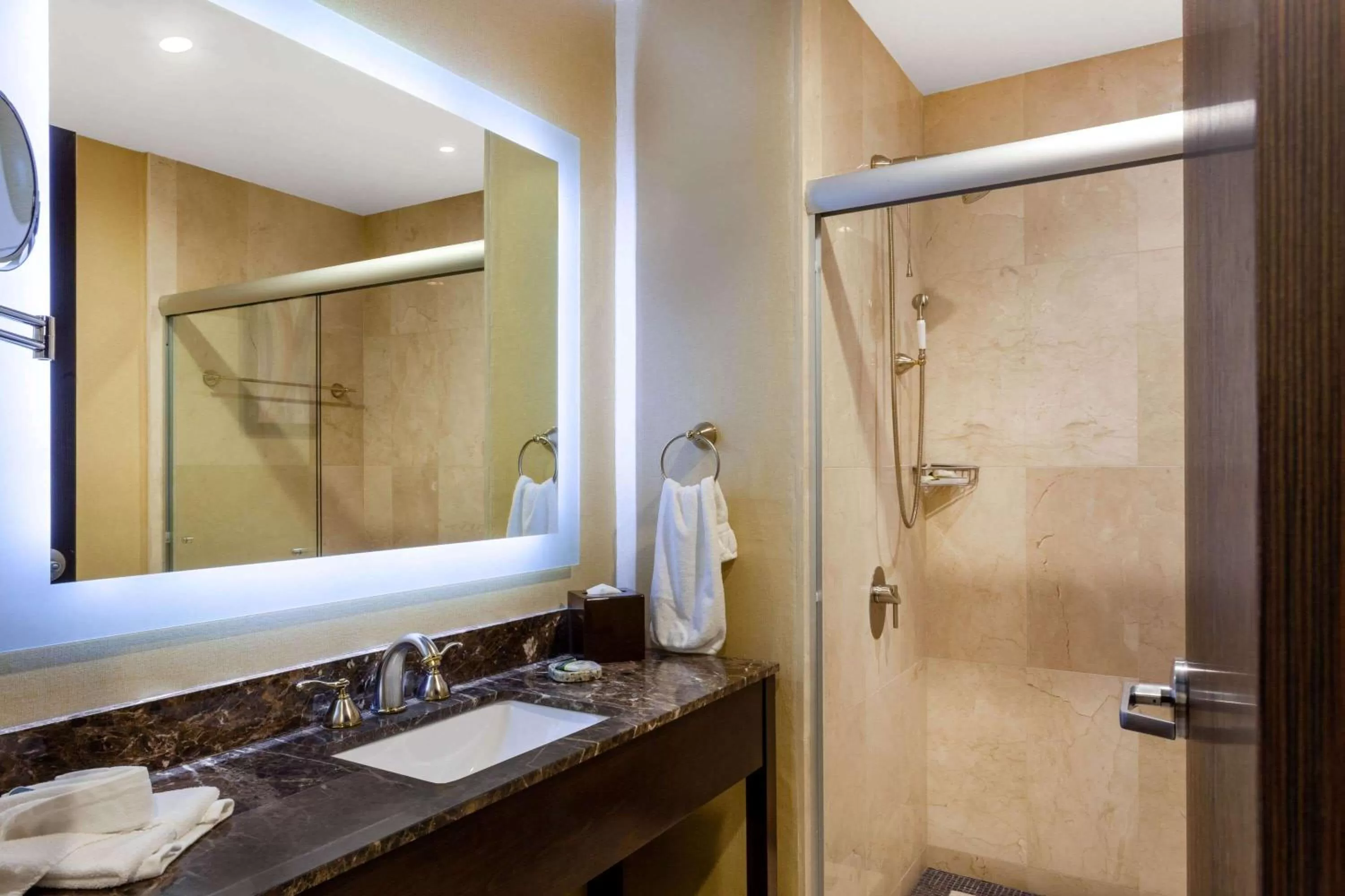 Bathroom in Wyndham Torreon