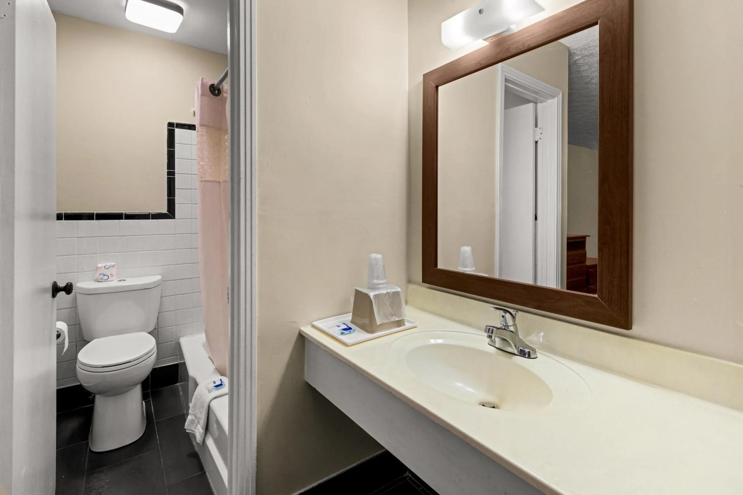 Toilet in Rodeway Inn Dickson