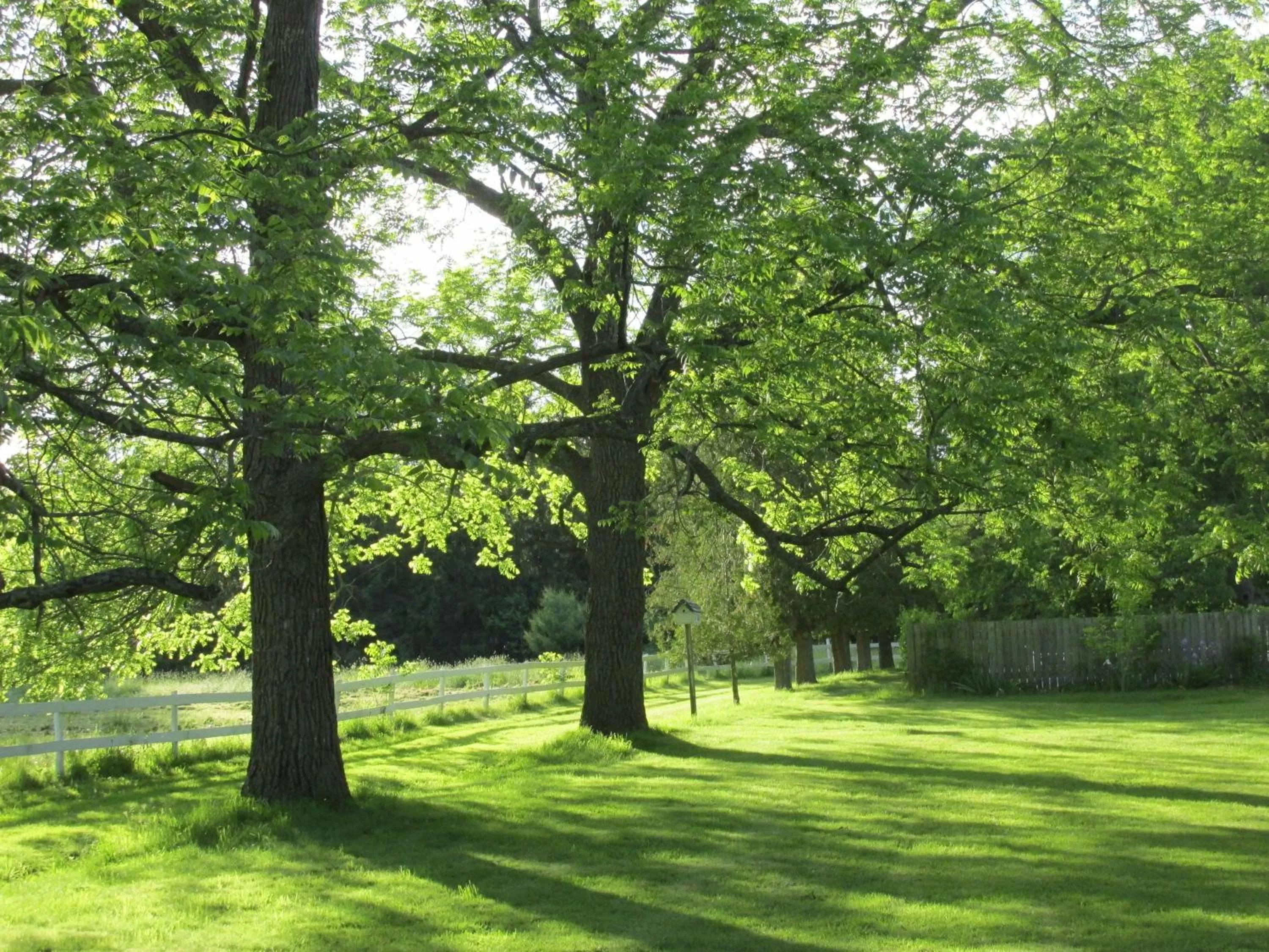Property building, Garden in Burnbrae Farm & Paradise Inn