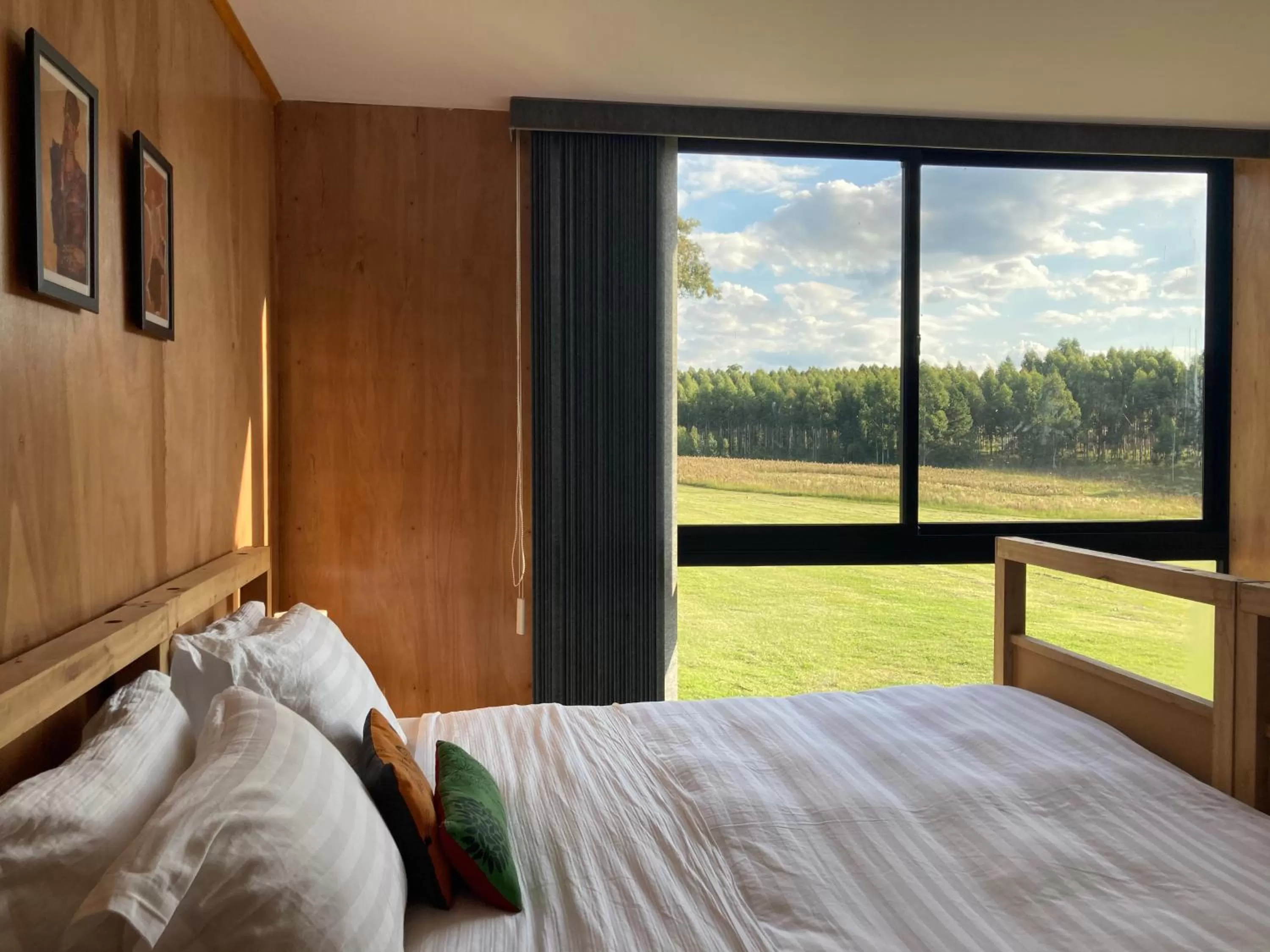 Garden view in MUMA Hotel - Museo de la Madera