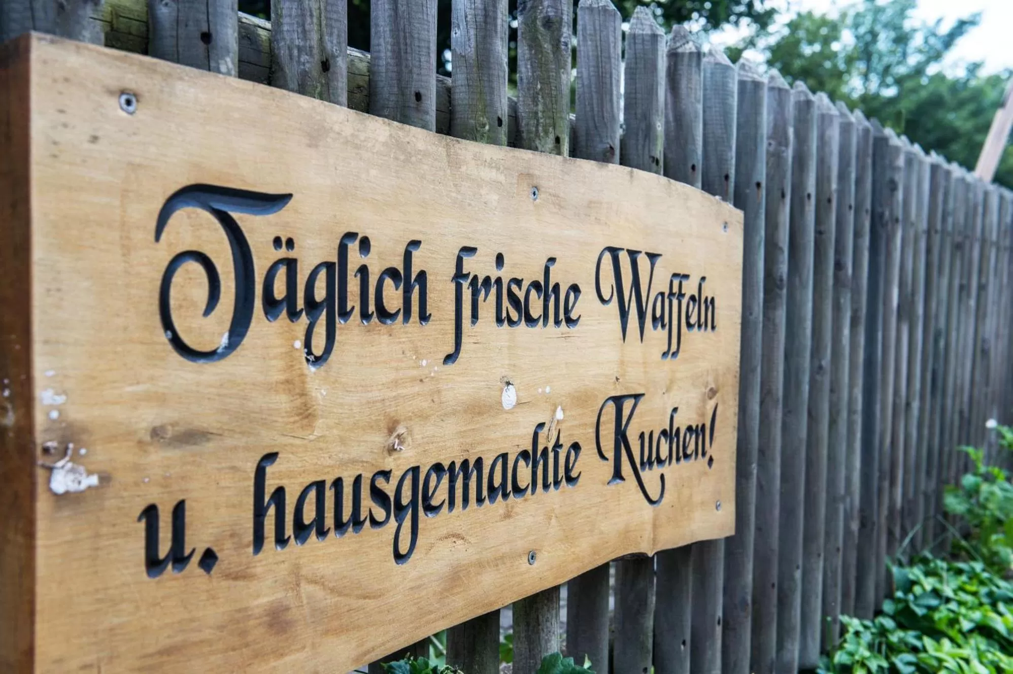 Decorative detail in Hotel Hanses-Bräutigam