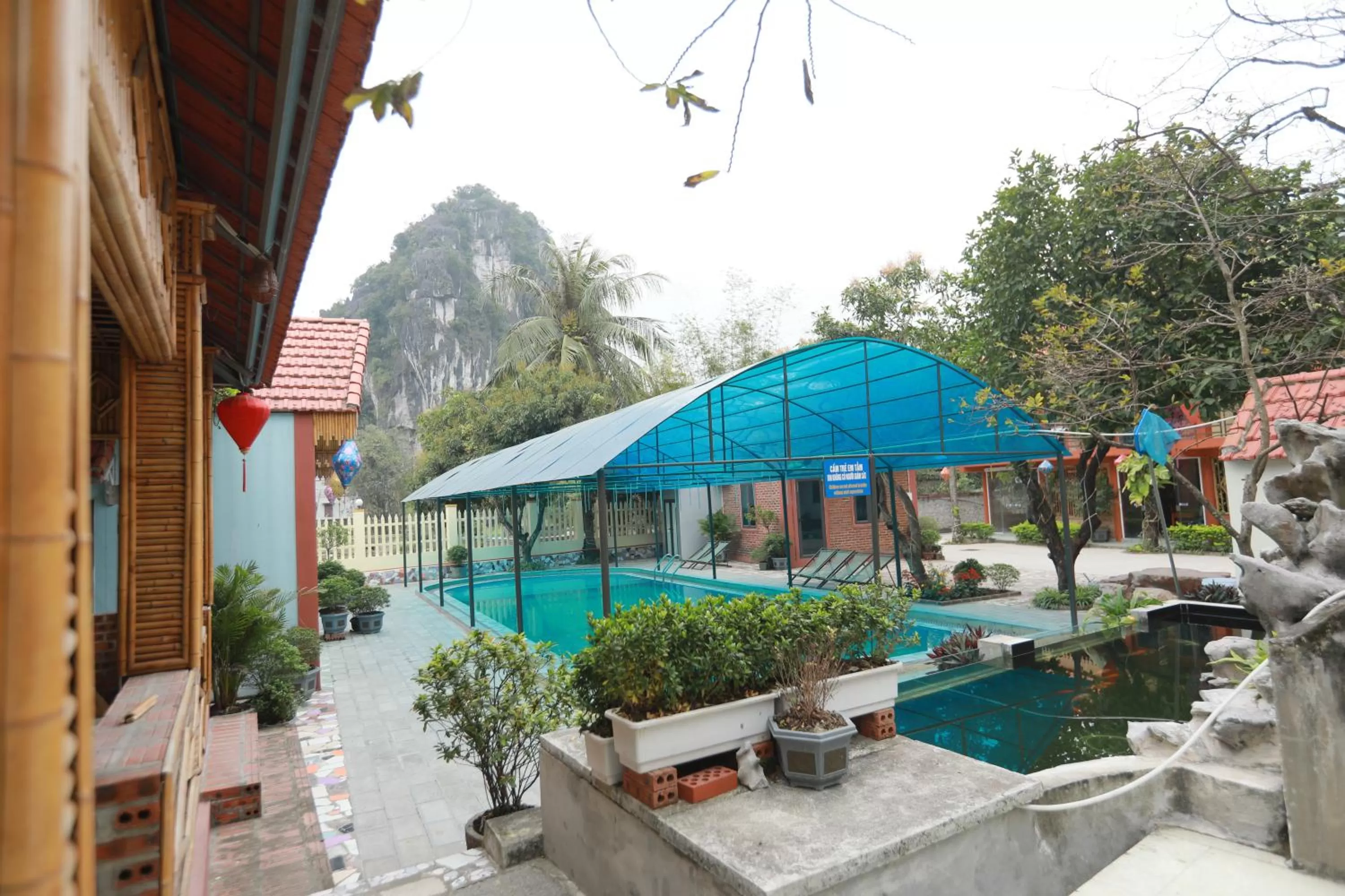 Pool view in Trang An Elegant Homestay