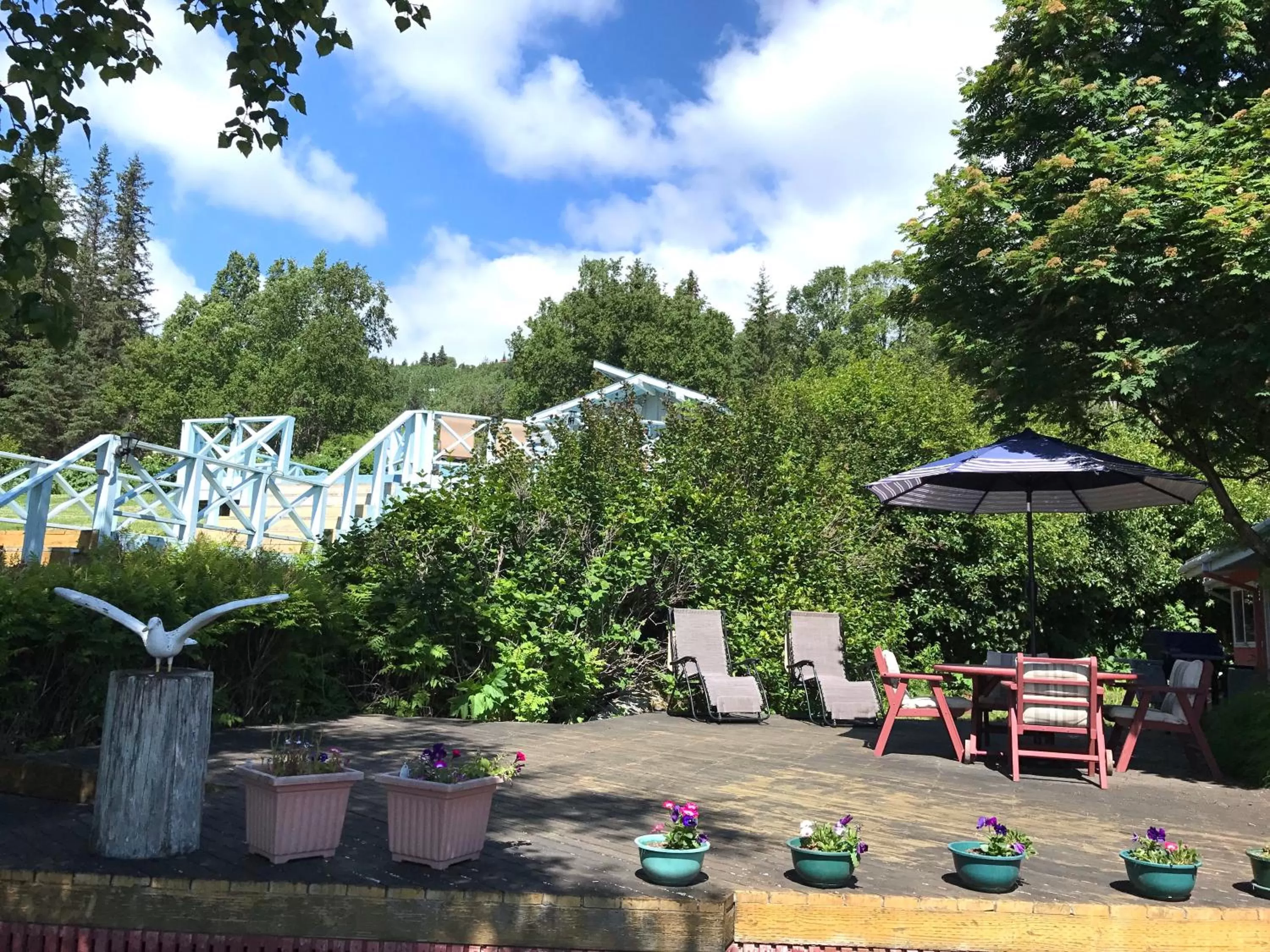 Halcyon Heights B&B/Inn