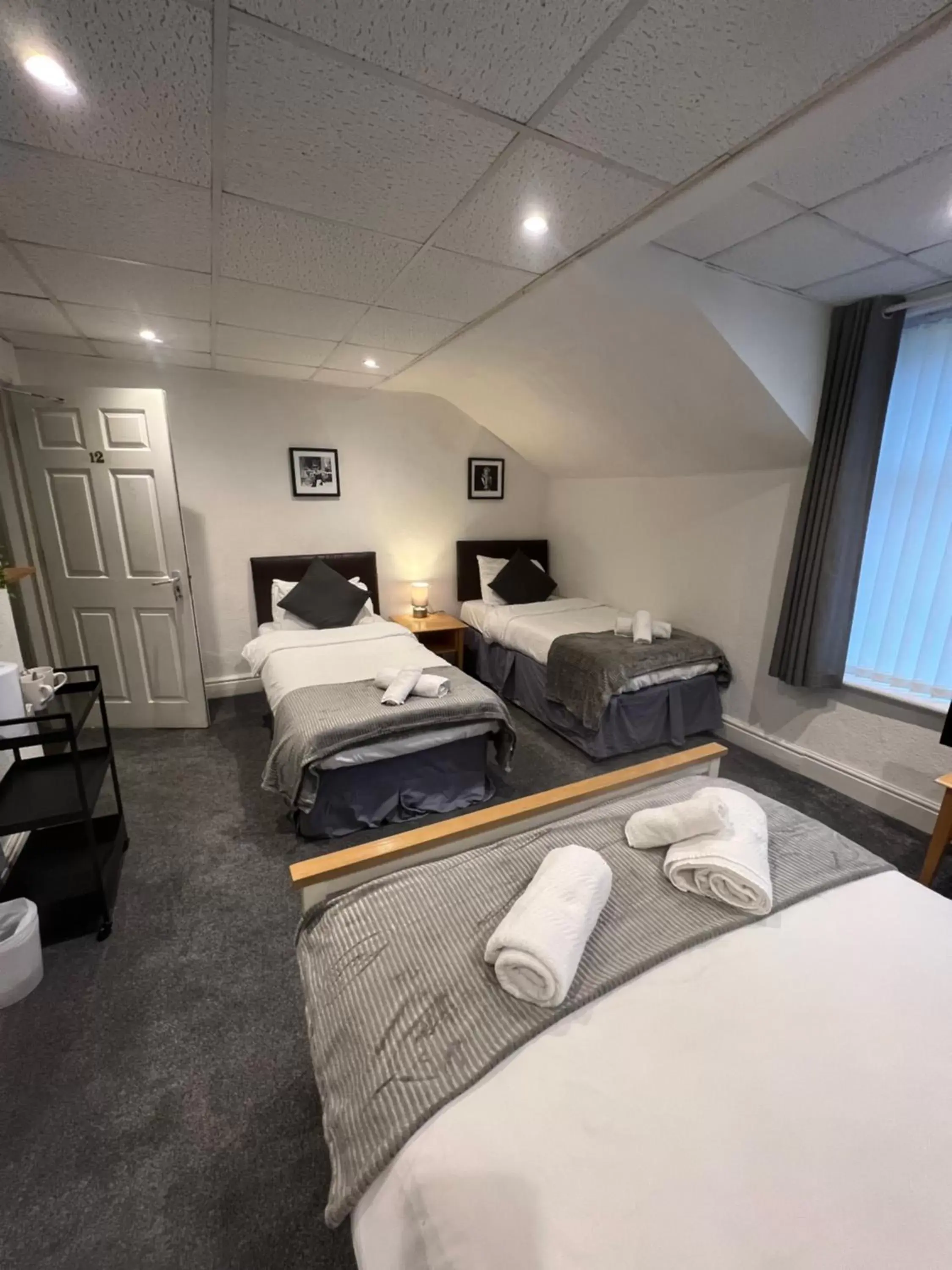 1 double and 2 single beds in The Wilton Hotel 1 double and 2 single beds in The Wilton Hotel