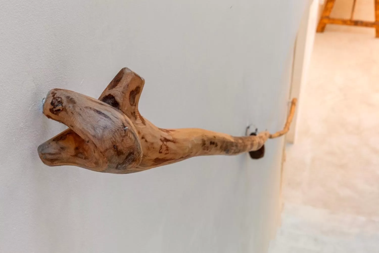 Pets in Crobi Museum and Suites