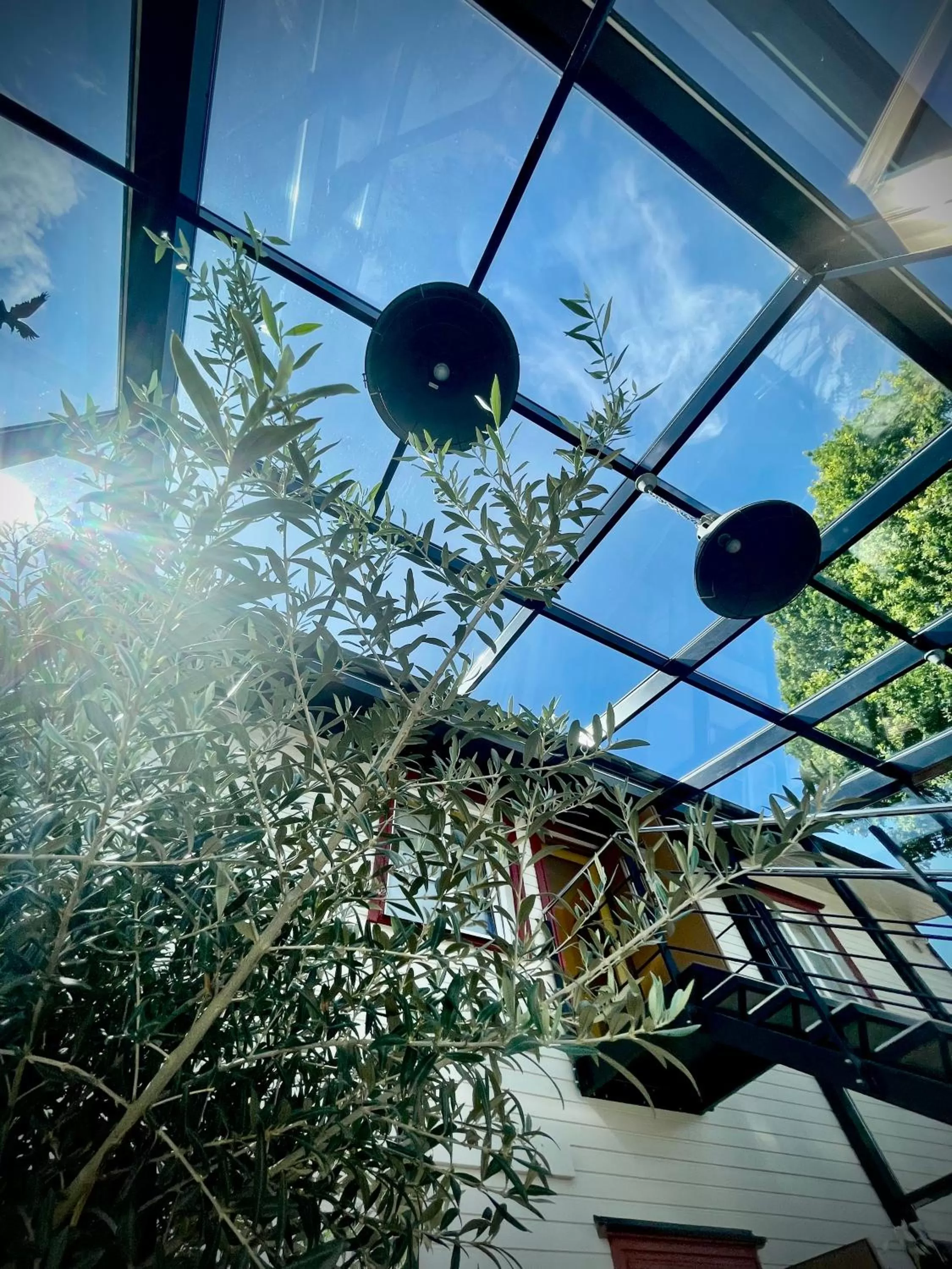 Day in Aleksandri Guesthouse