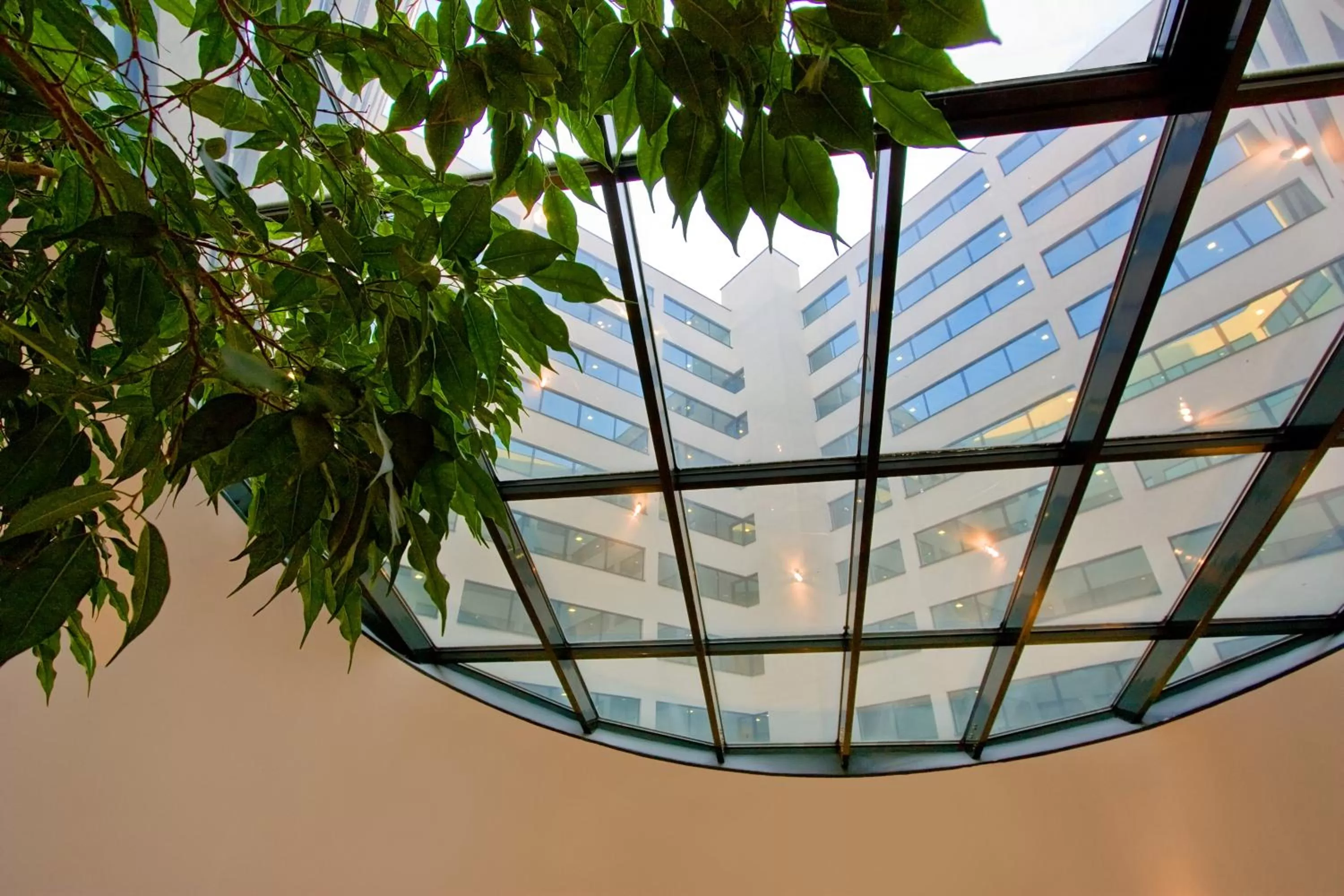 View (from property/room) in Vitosha Park Hotel - Free Indoor Pool & Parking