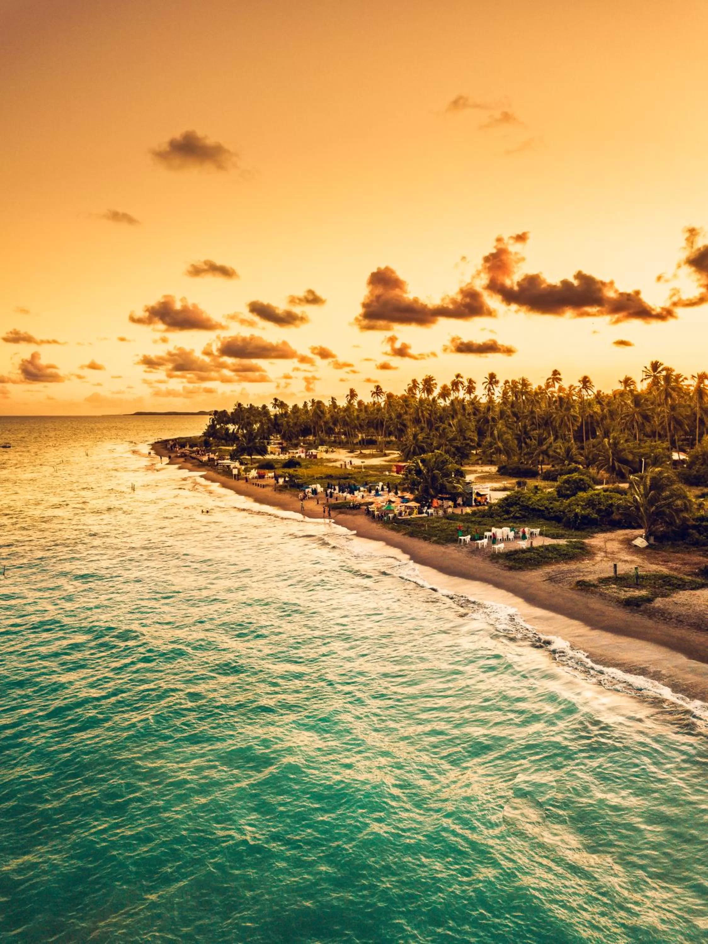 Natural landscape in Pousada Rangai