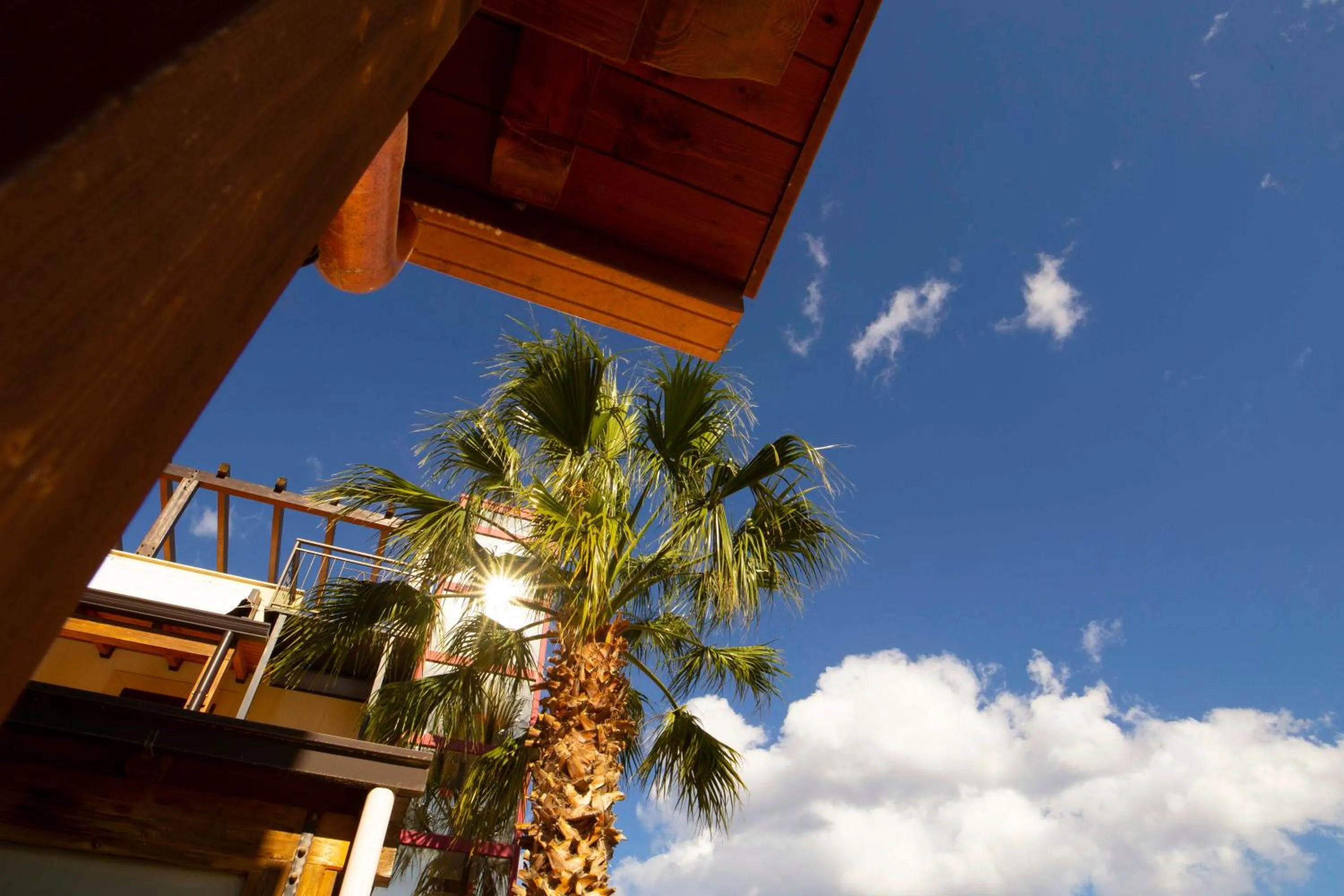 Hotel Iride by Marino Tourist