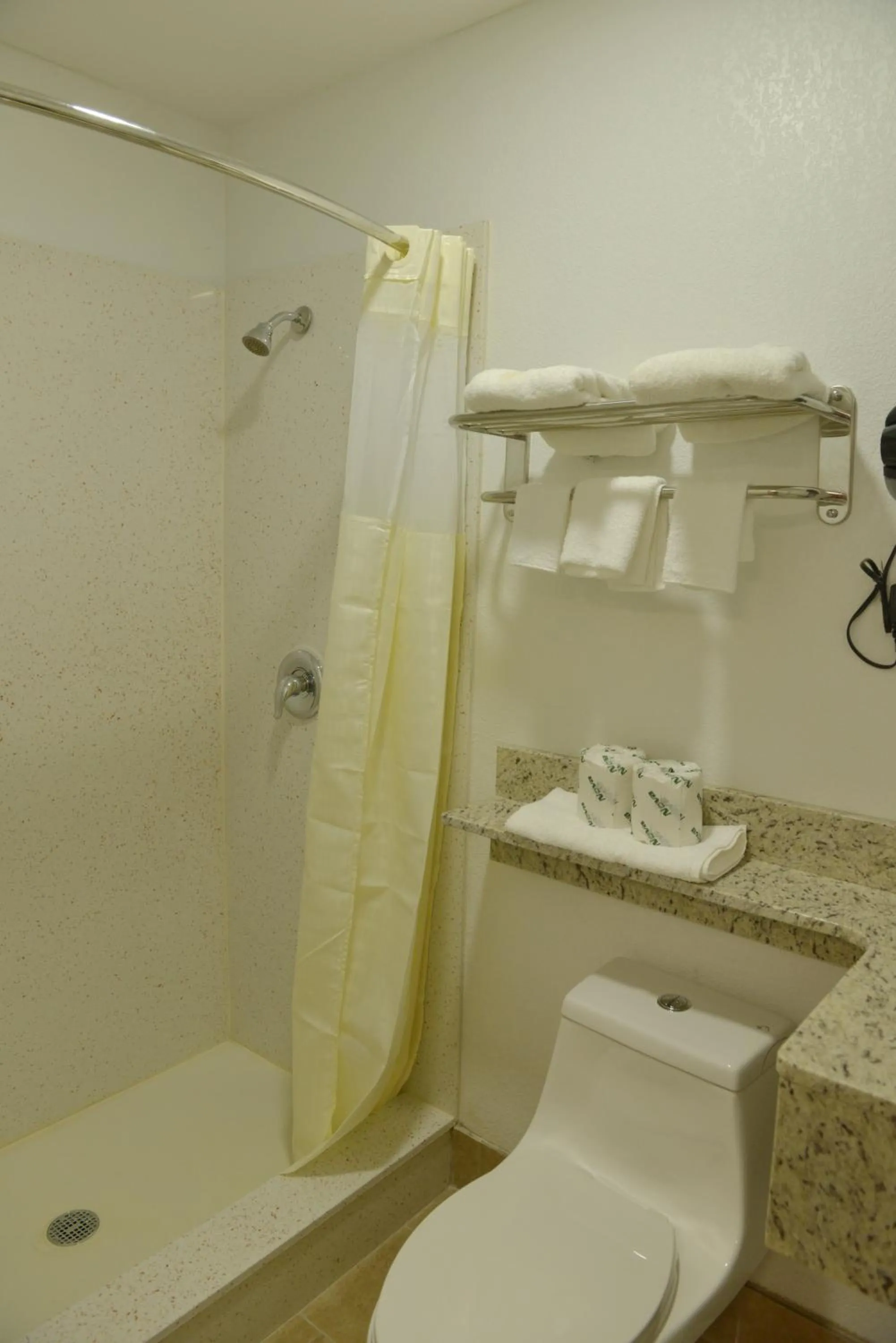 Rodeway Inn & Suites Winter Haven Chain of Lakes