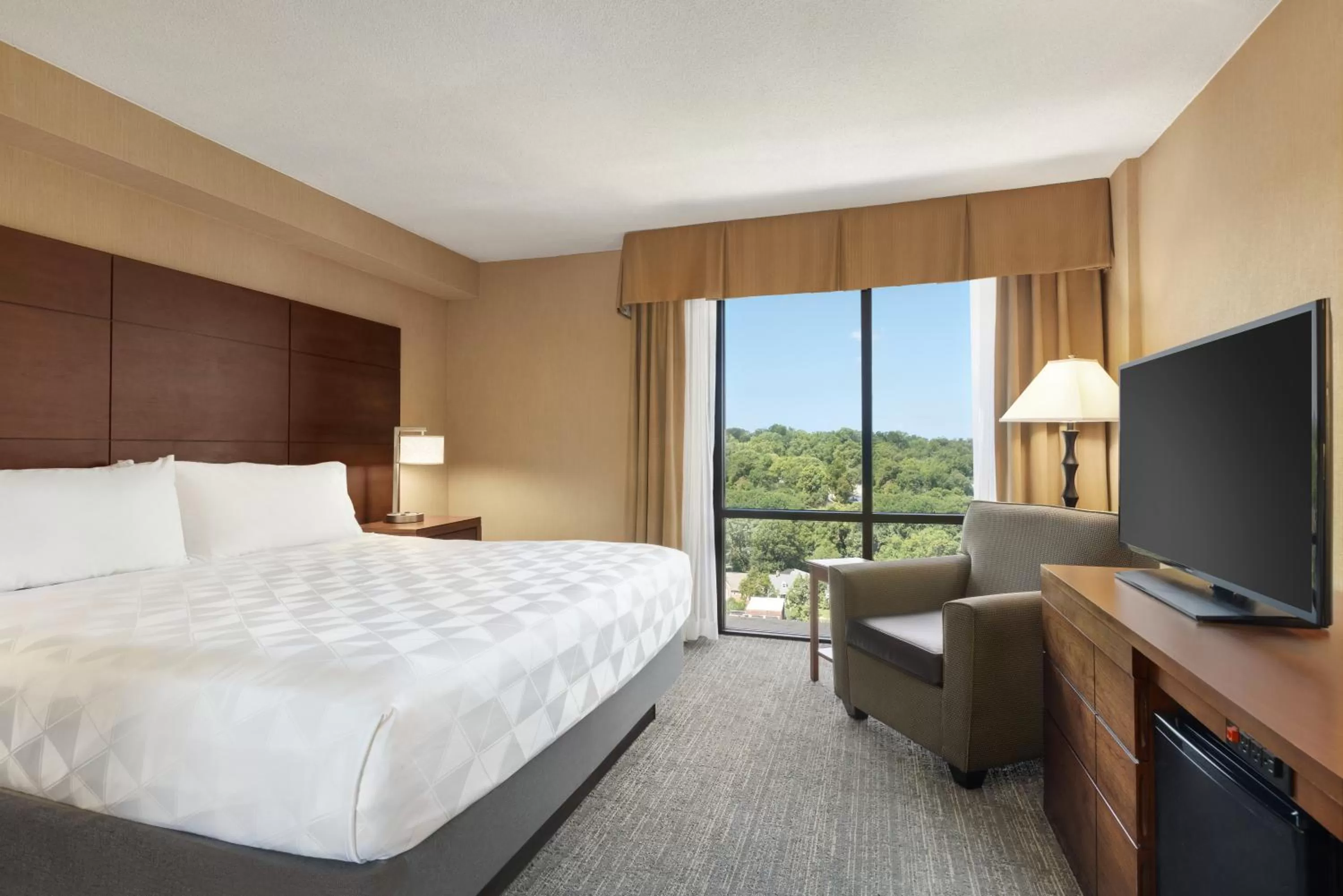 Photo of the whole room, Bed in Holiday Inn National Airport/Crystal City by IHG