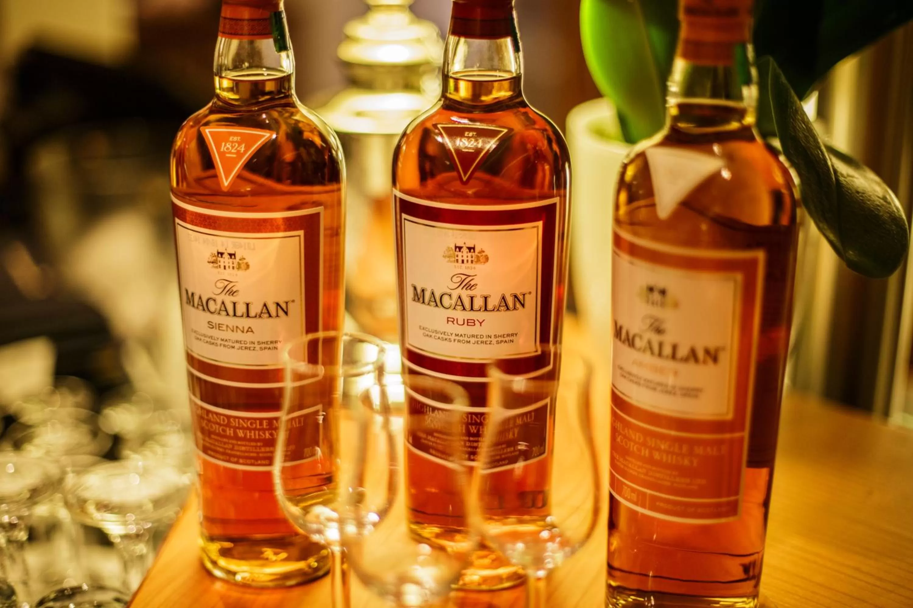 Alcoholic drinks in Hotel Plattenhof