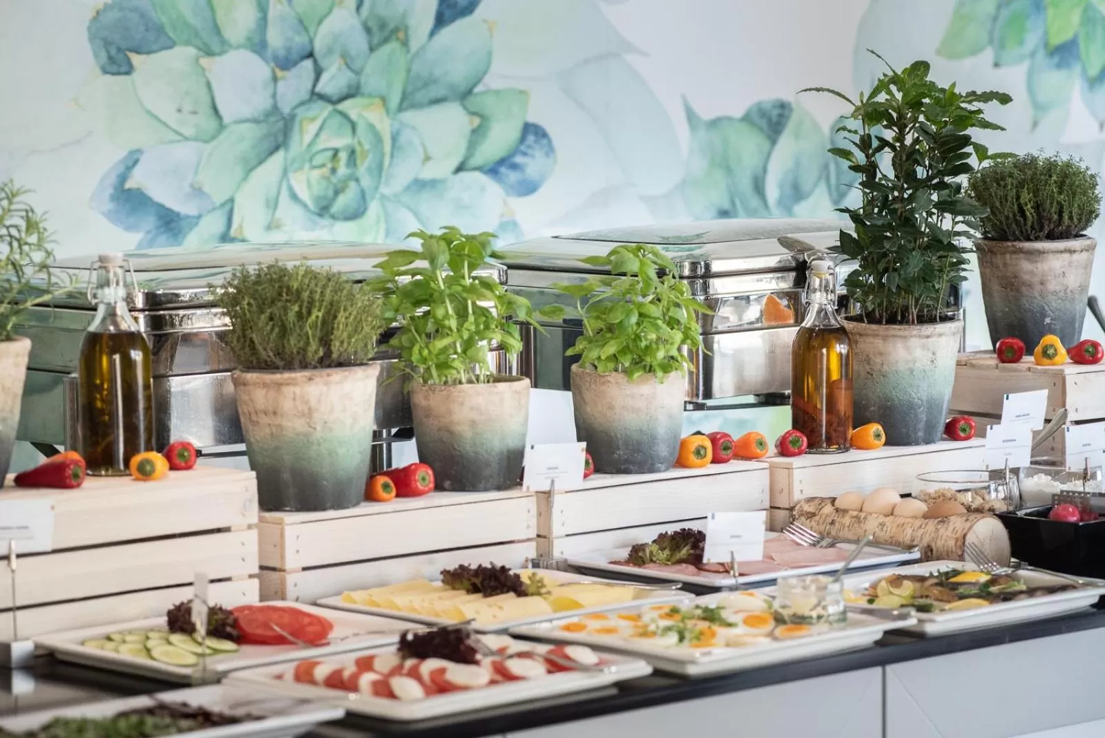 Food in Hotel Arkon Park Gdańsk- Destigo Hotels