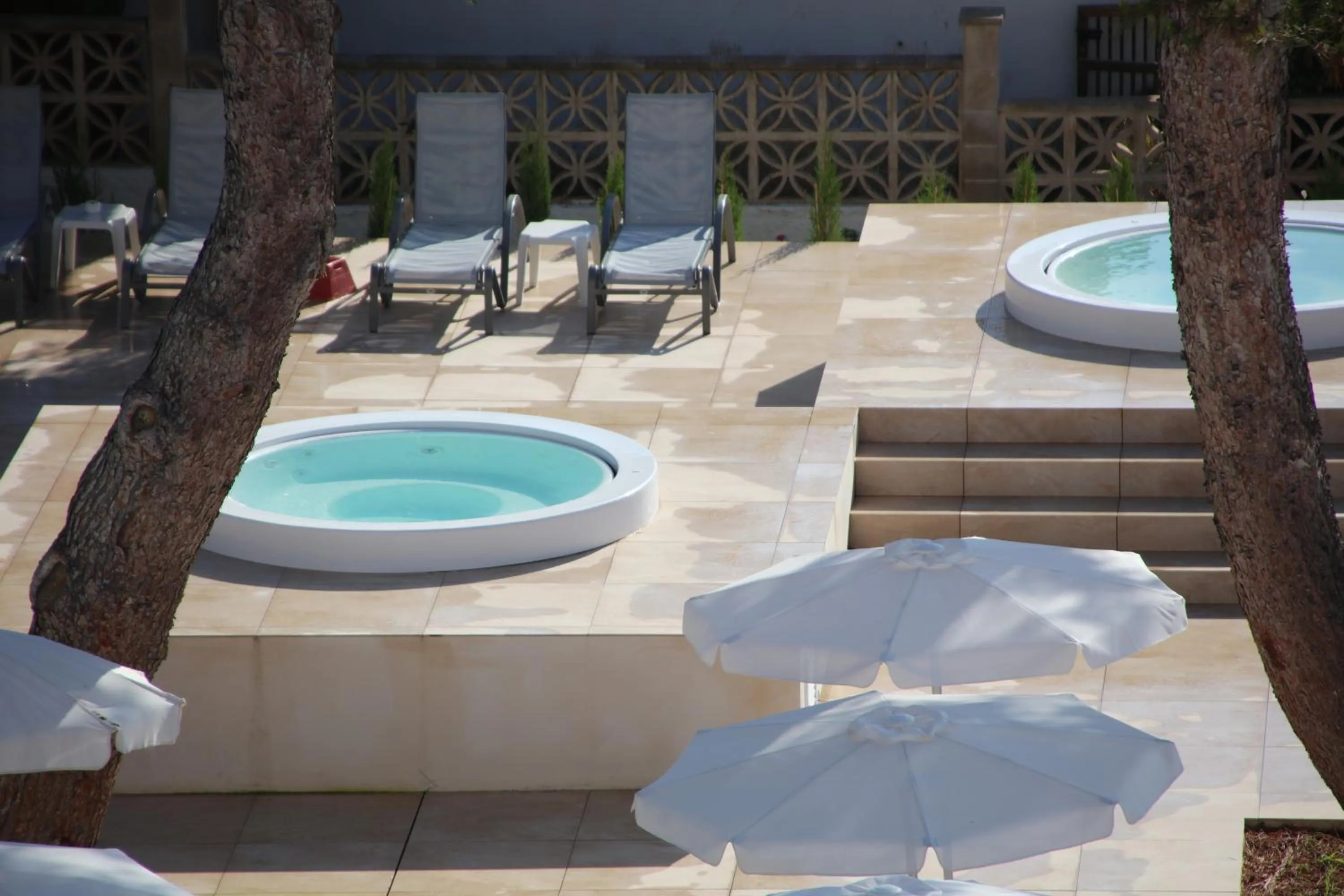 Garden in Hotel Clumba