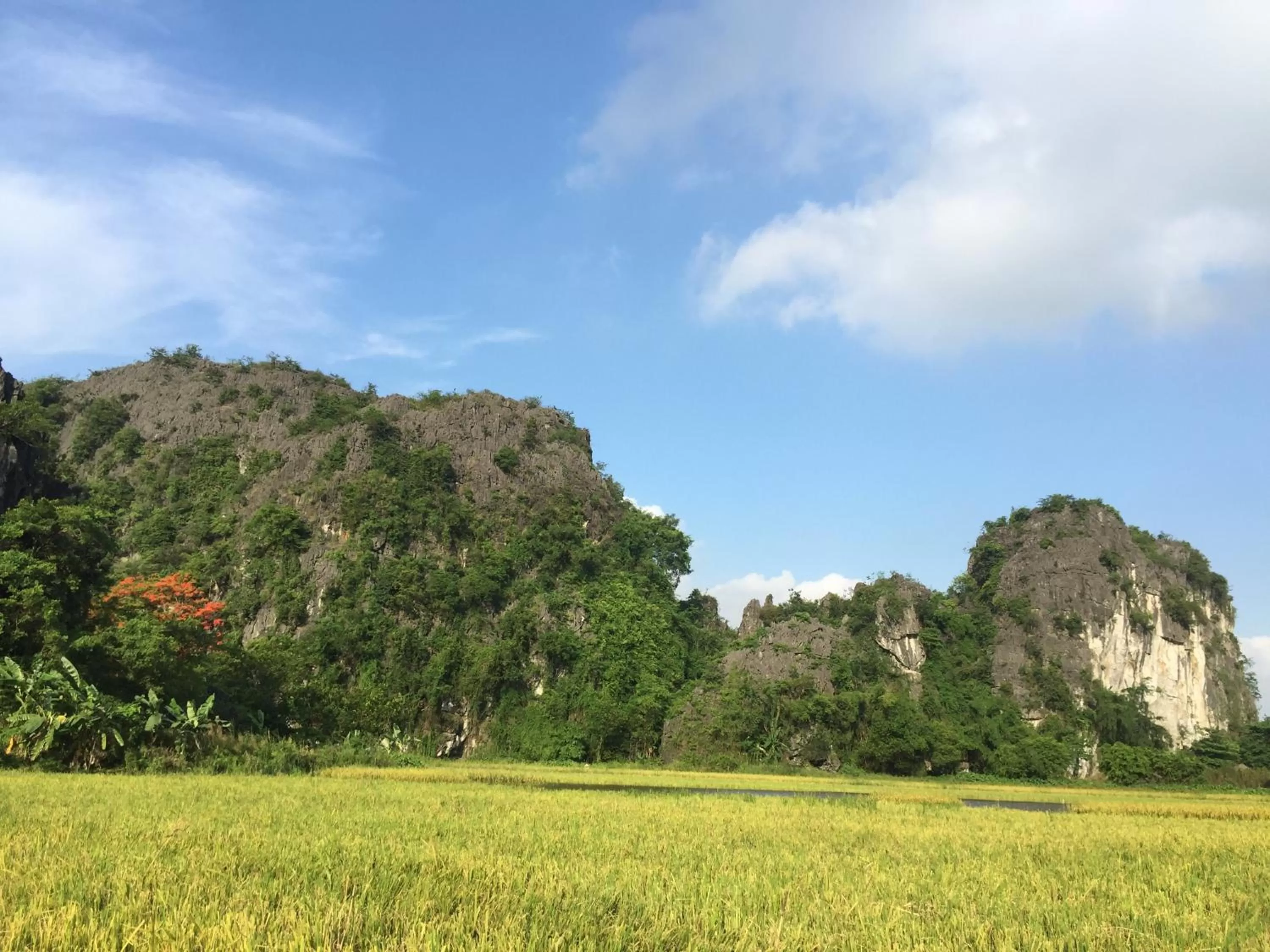 Natural landscape in Tam Coc Vinh Thinh Homestay