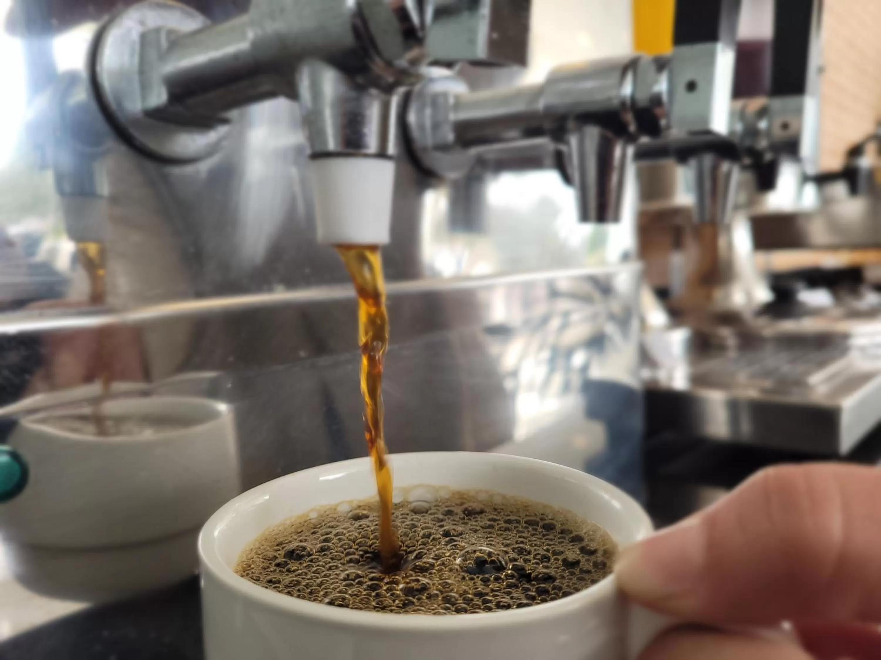 Breakfast in Pinda Palace Hotel