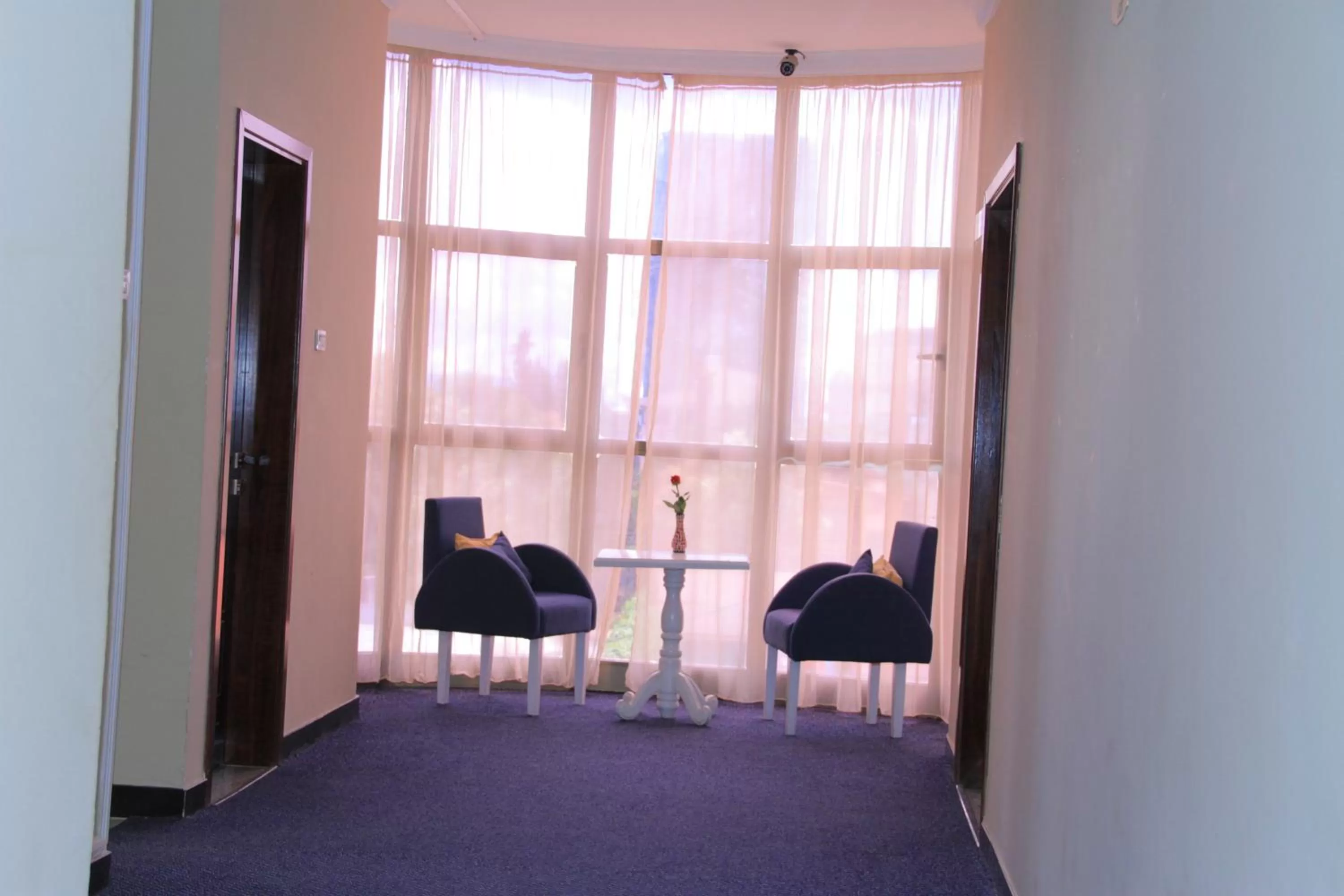 Property building in Hotel Lobelia