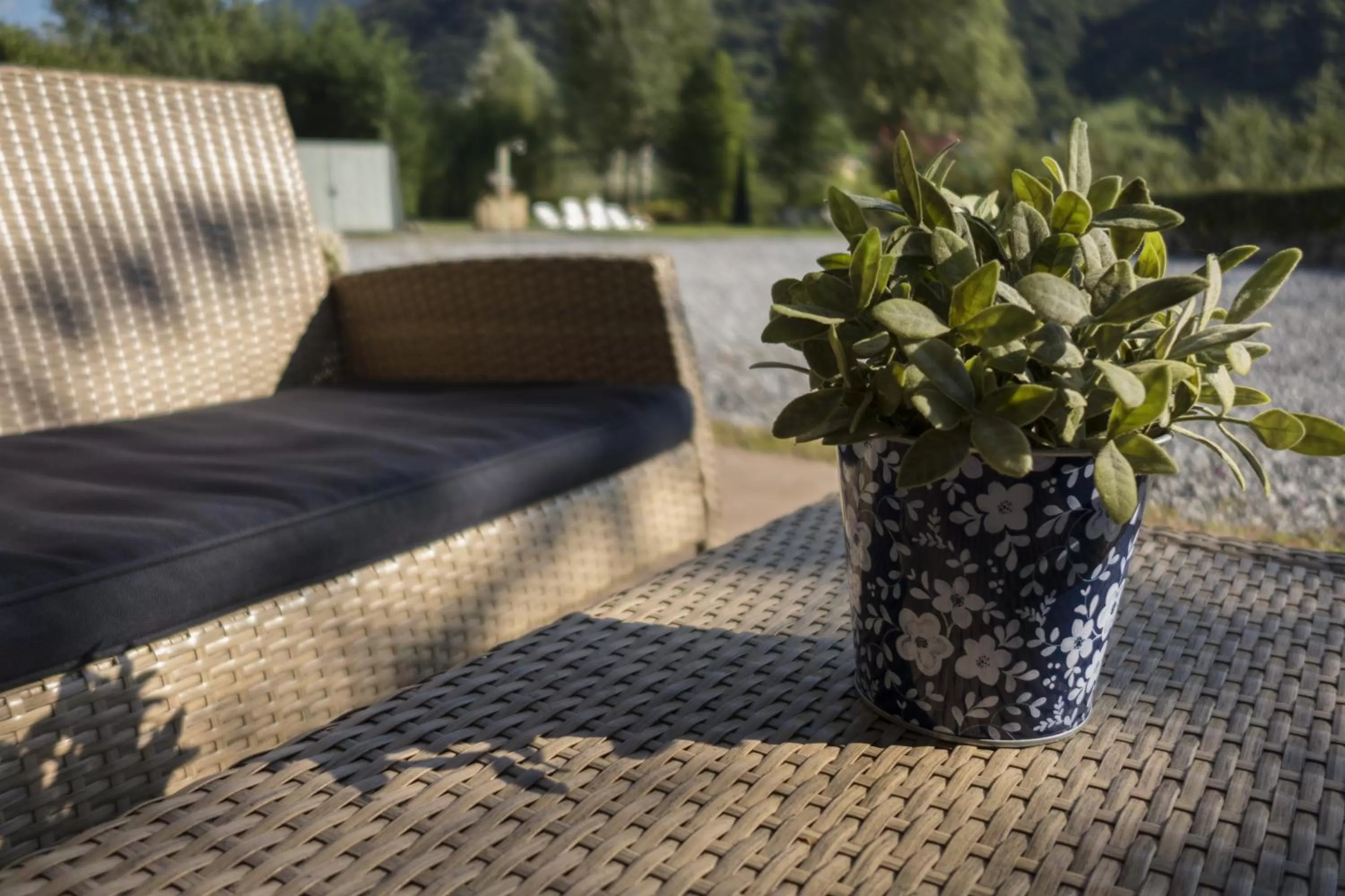 Animals in Albergo La Romanella